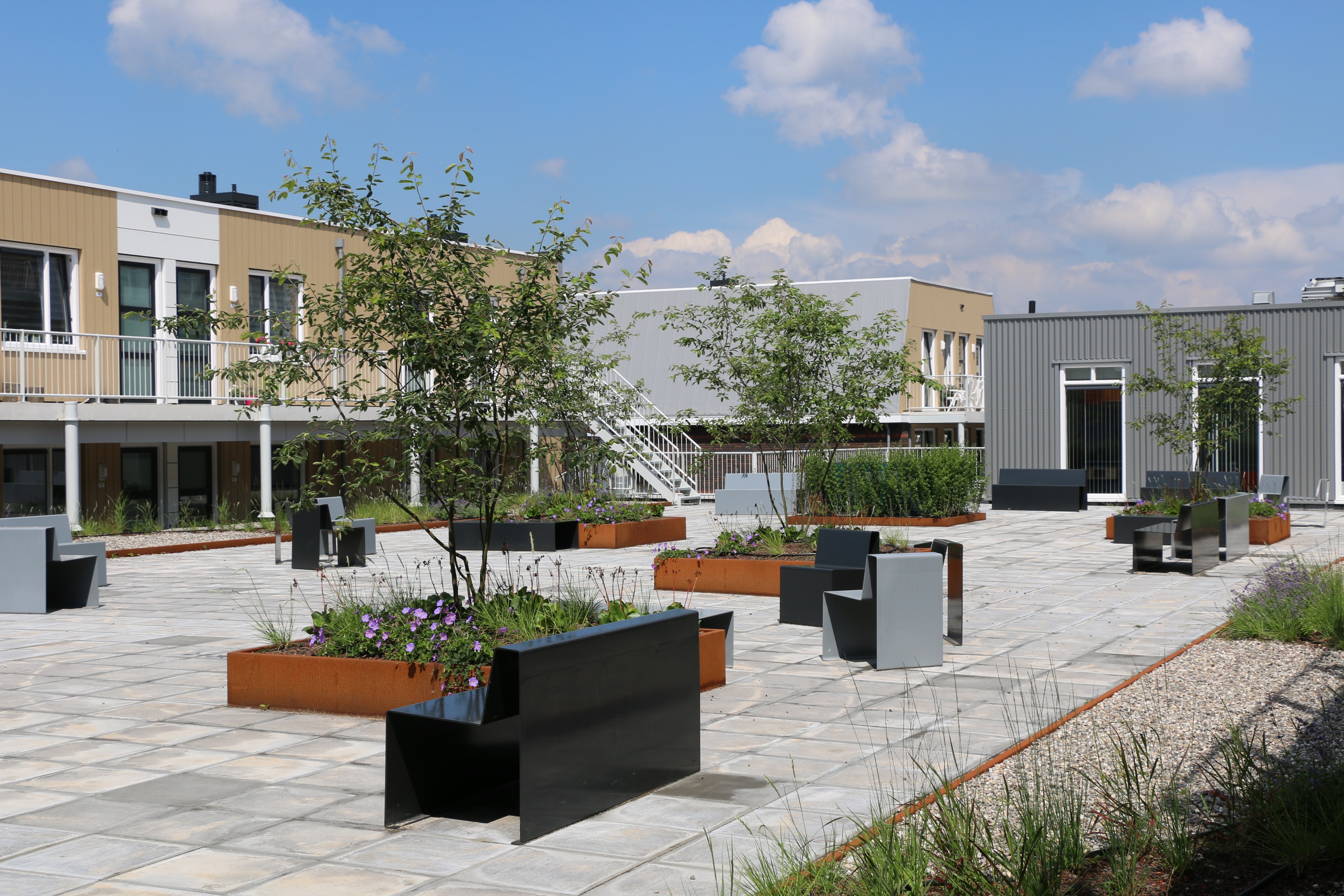 荷兰艾德市 Bunschoterplein 公园设计-1