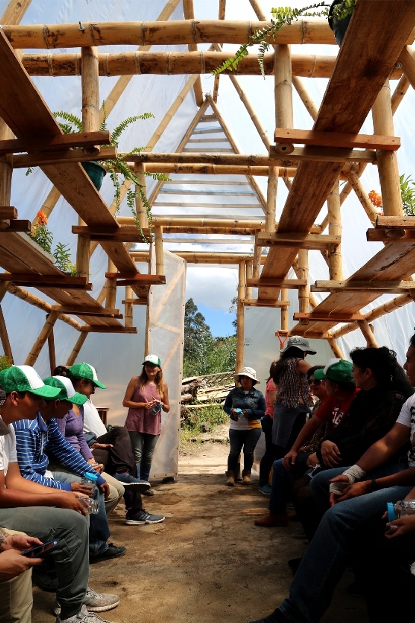 厄瓜多尔蔬菜三角温室 · 赋权社区绿色家园-7