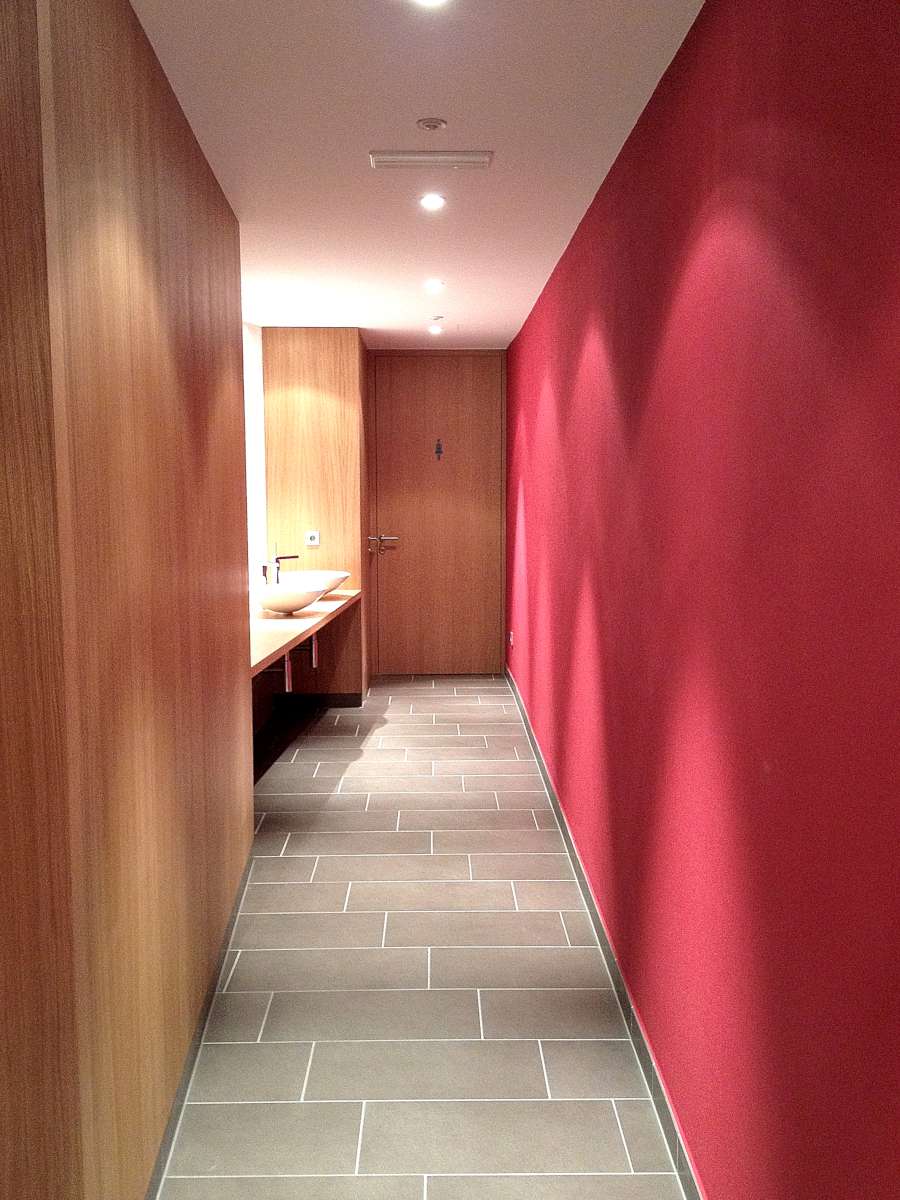 阿尔卑斯山间的五星级酒店改造-67