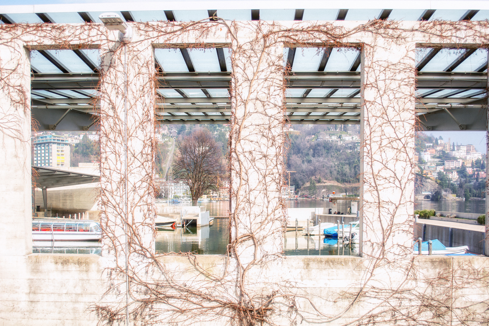 2017 年瑞士卢加诺公园城市更新项目-1