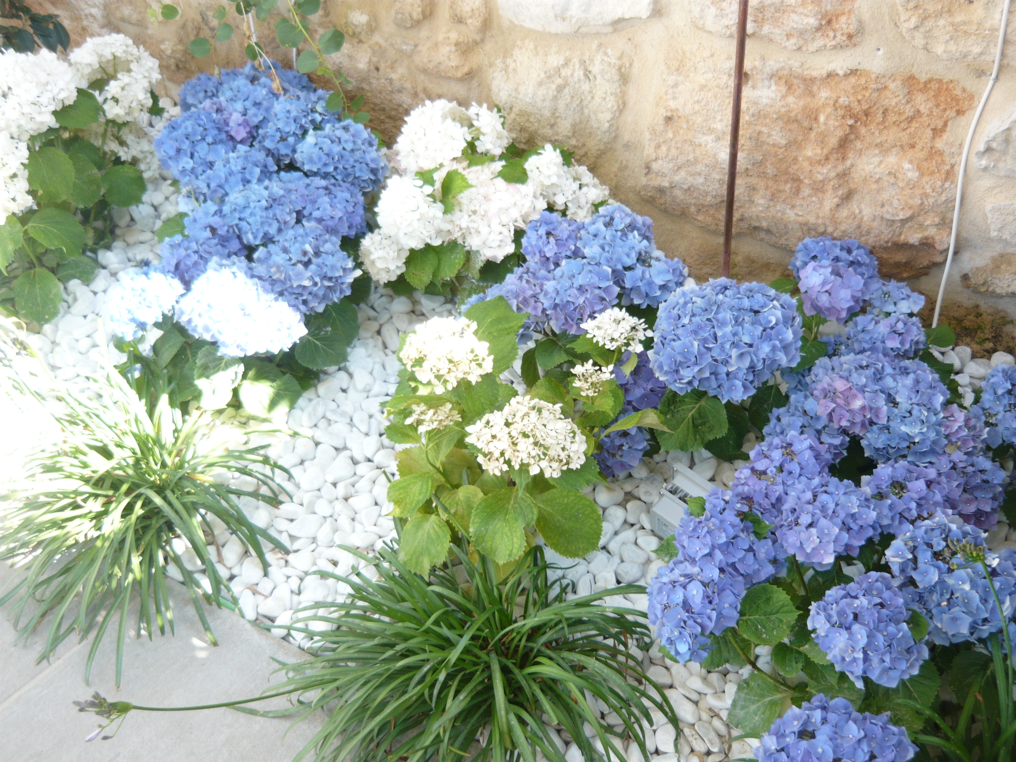 绿意盎然的城市花园——"Verde Matematico"餐厅设计-26