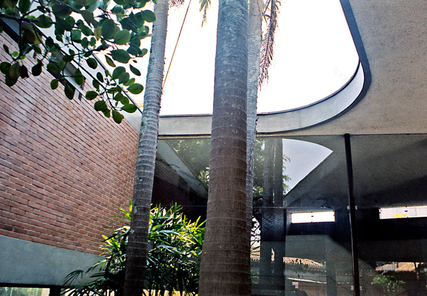 绿意盎然的家庭住宅-34