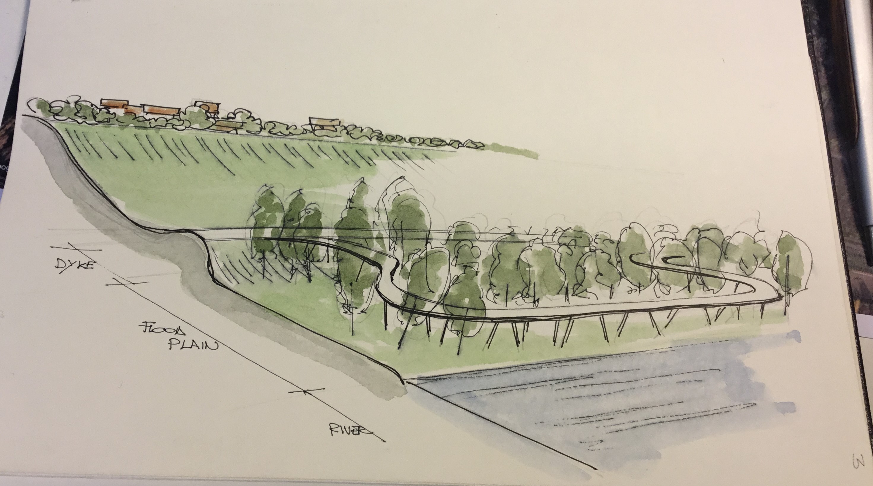 浪漫恐龙的河畔景观设计-8