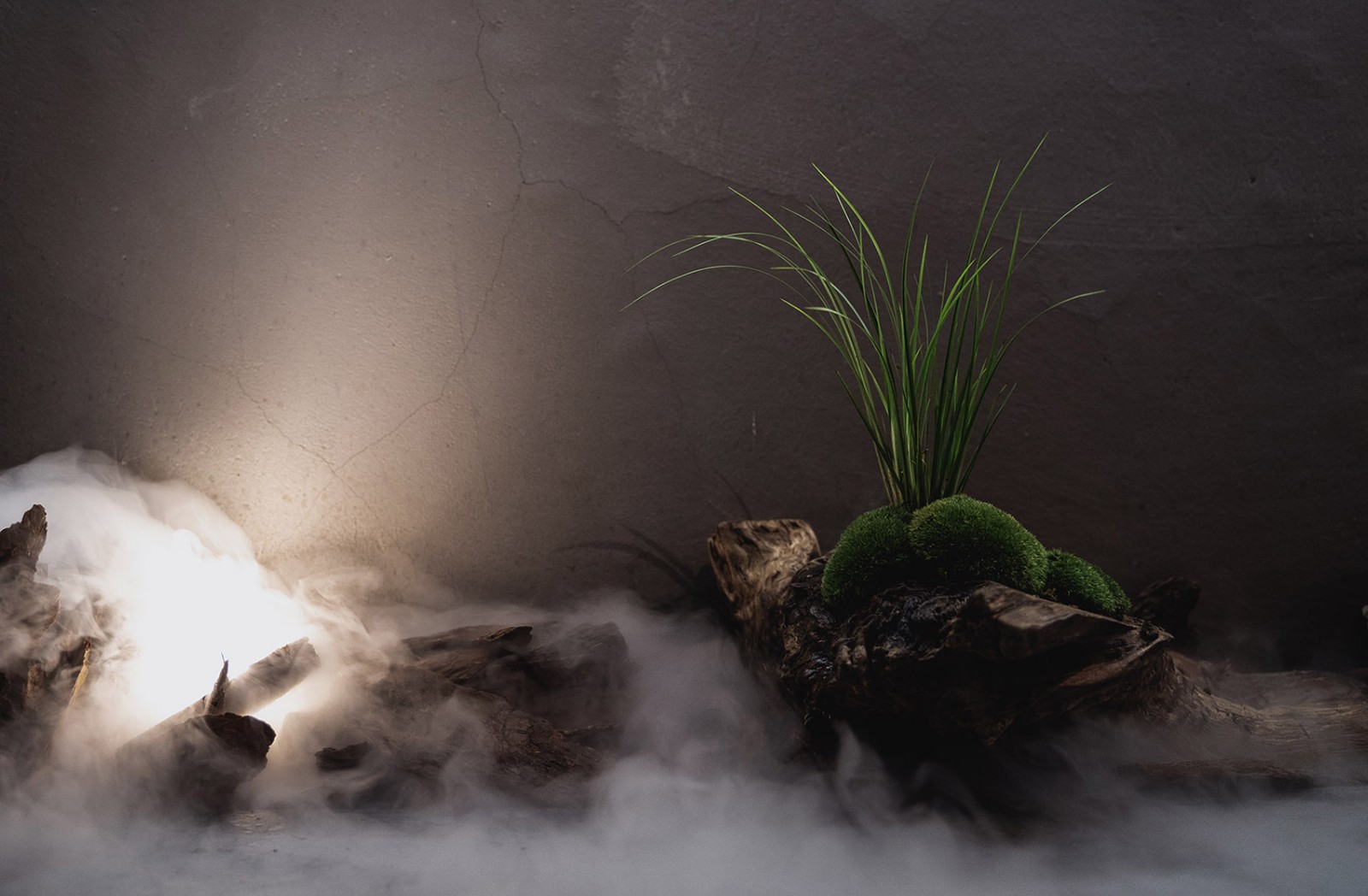 天津山海·果病儿精品咖啡烘焙馆丨中国天津-13