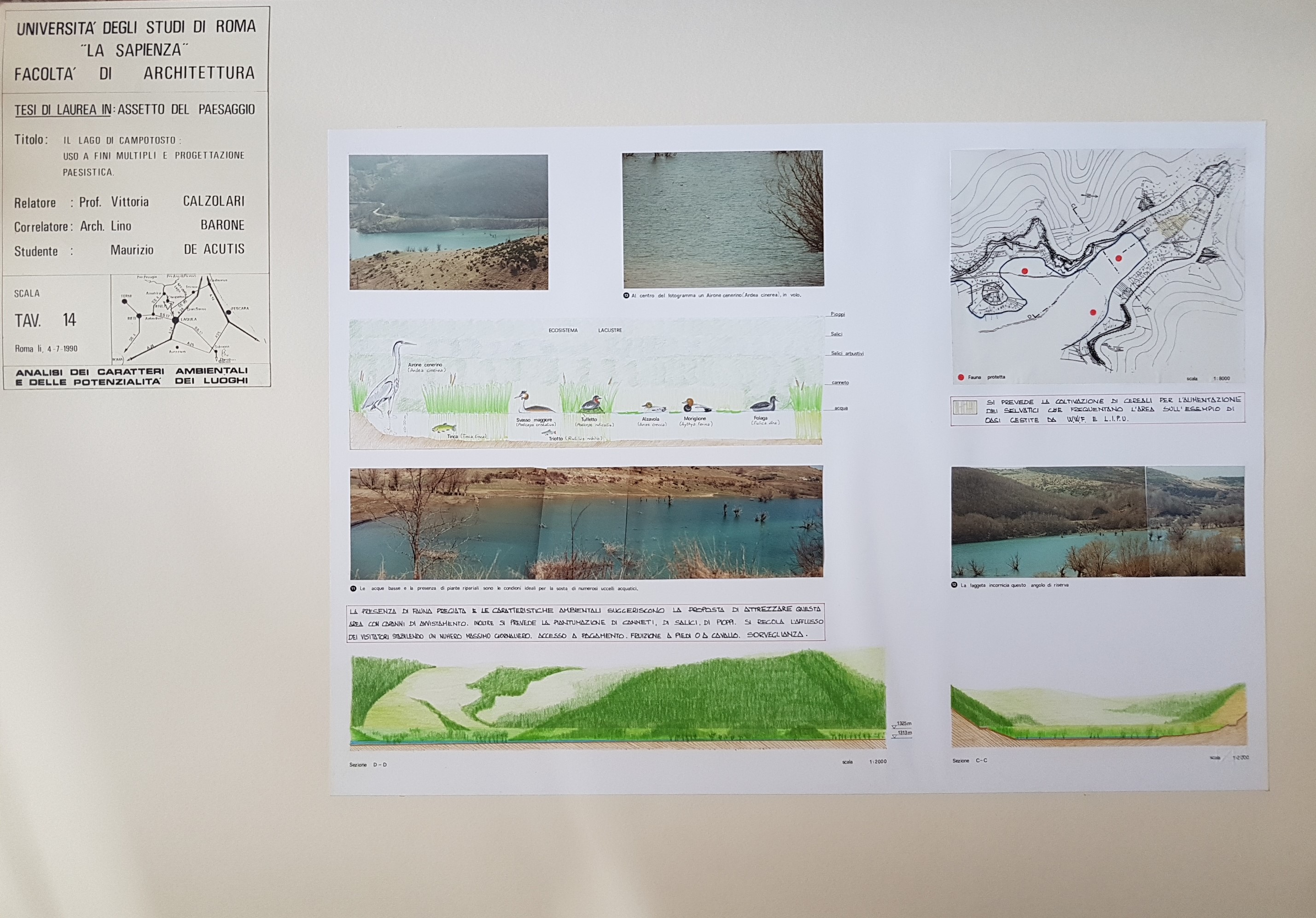 湖泊地貌重塑 | 保护自然与经济发展的平衡-39