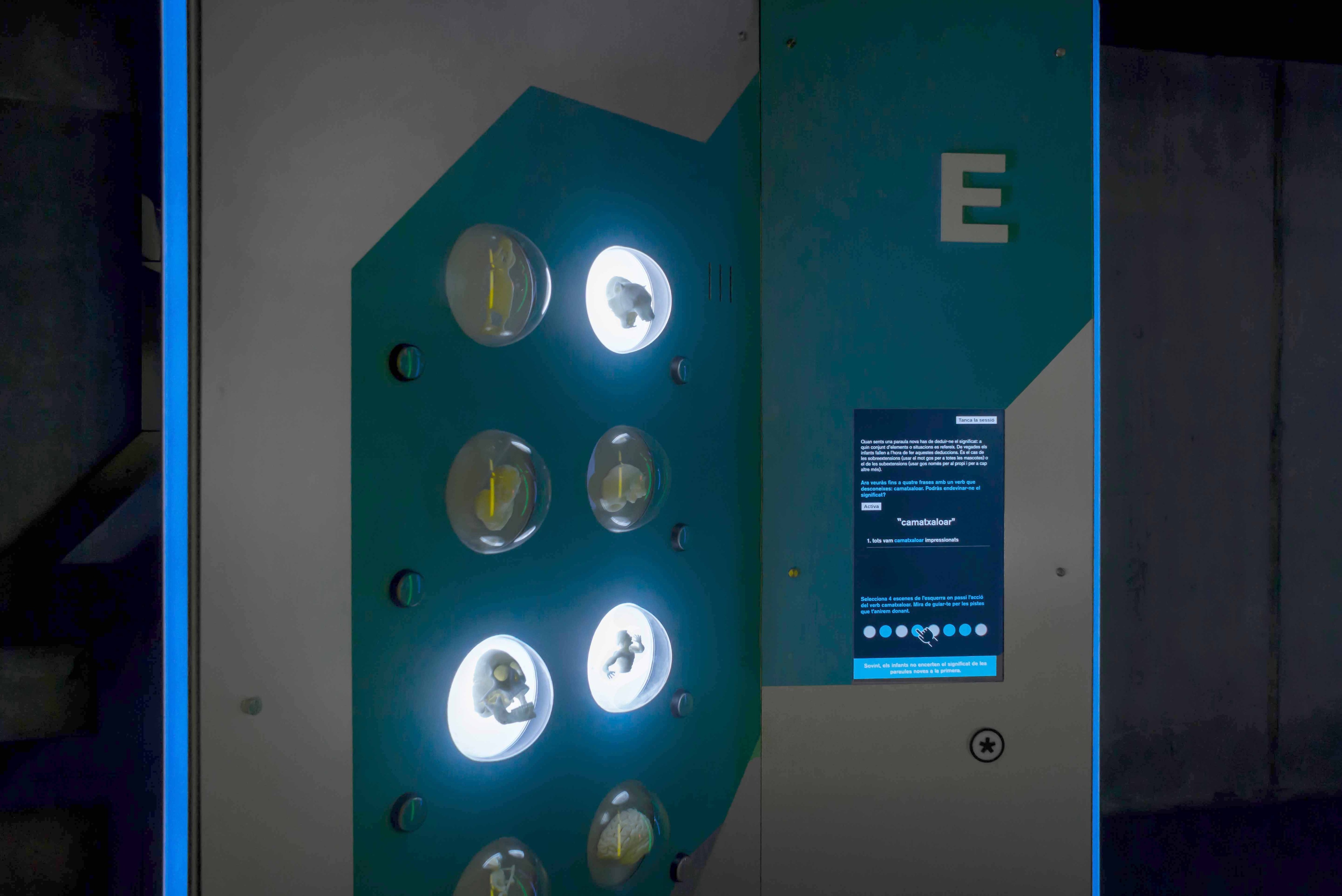 Talking Brains 展览设计-56