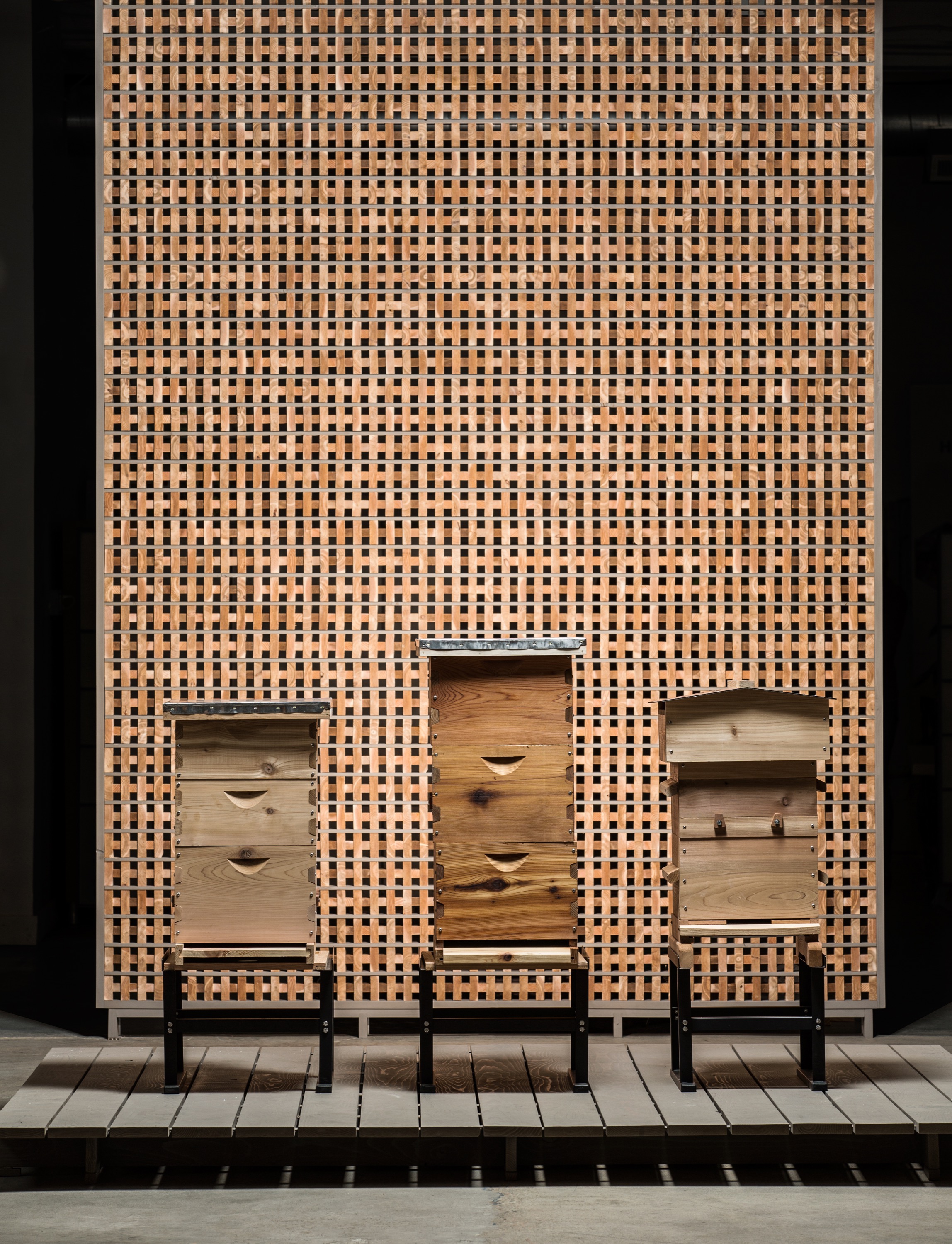 蜜蜂思维 · 从蜂箱到零售空间的微妙之旅-8