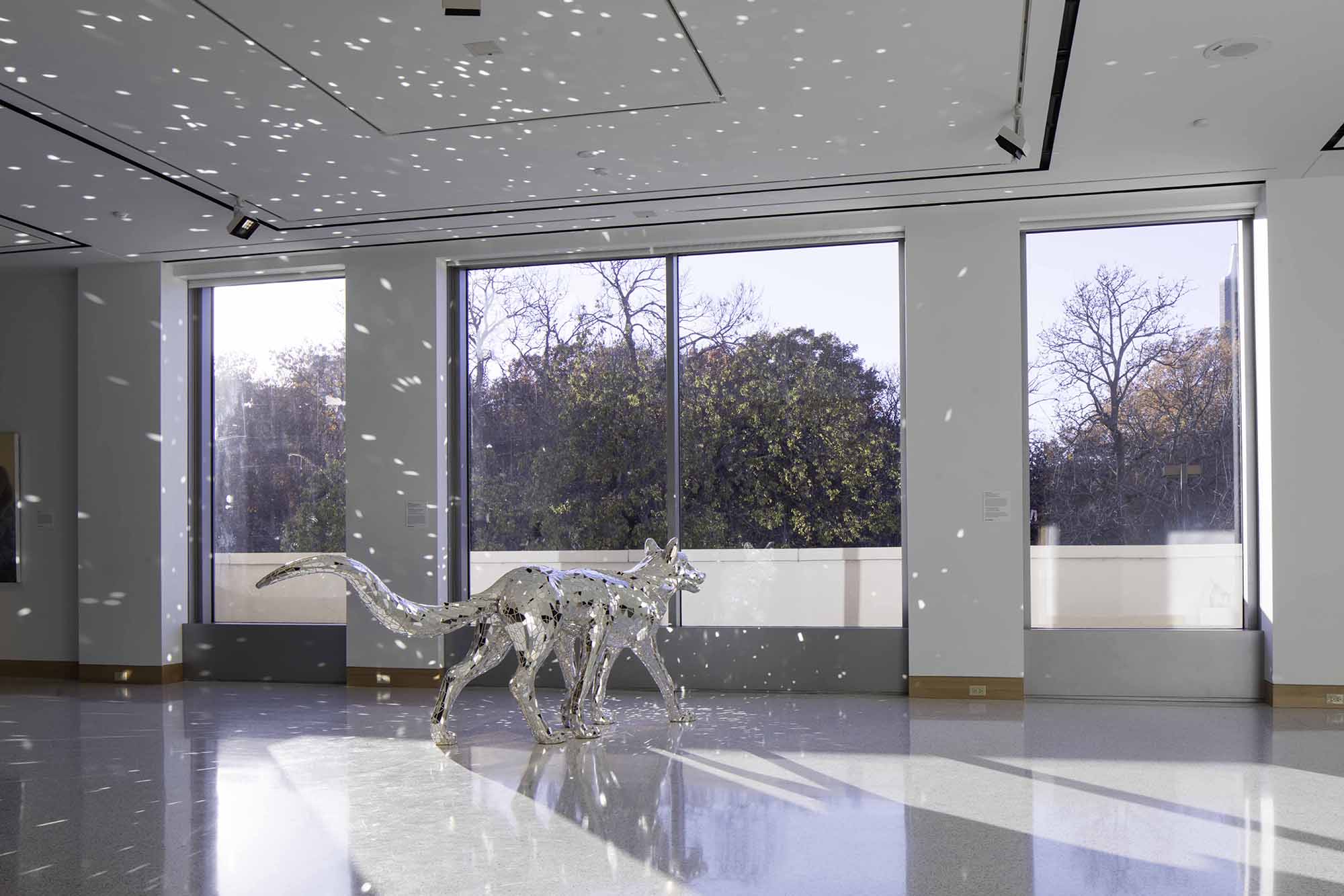 堪萨斯大学斯宾塞艺术博物馆翻新-11