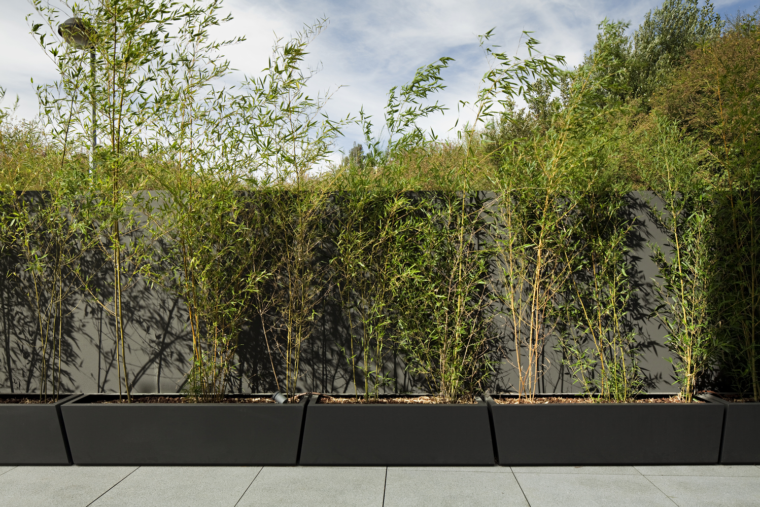 葡萄牙 Guimarães 三层别墅-56