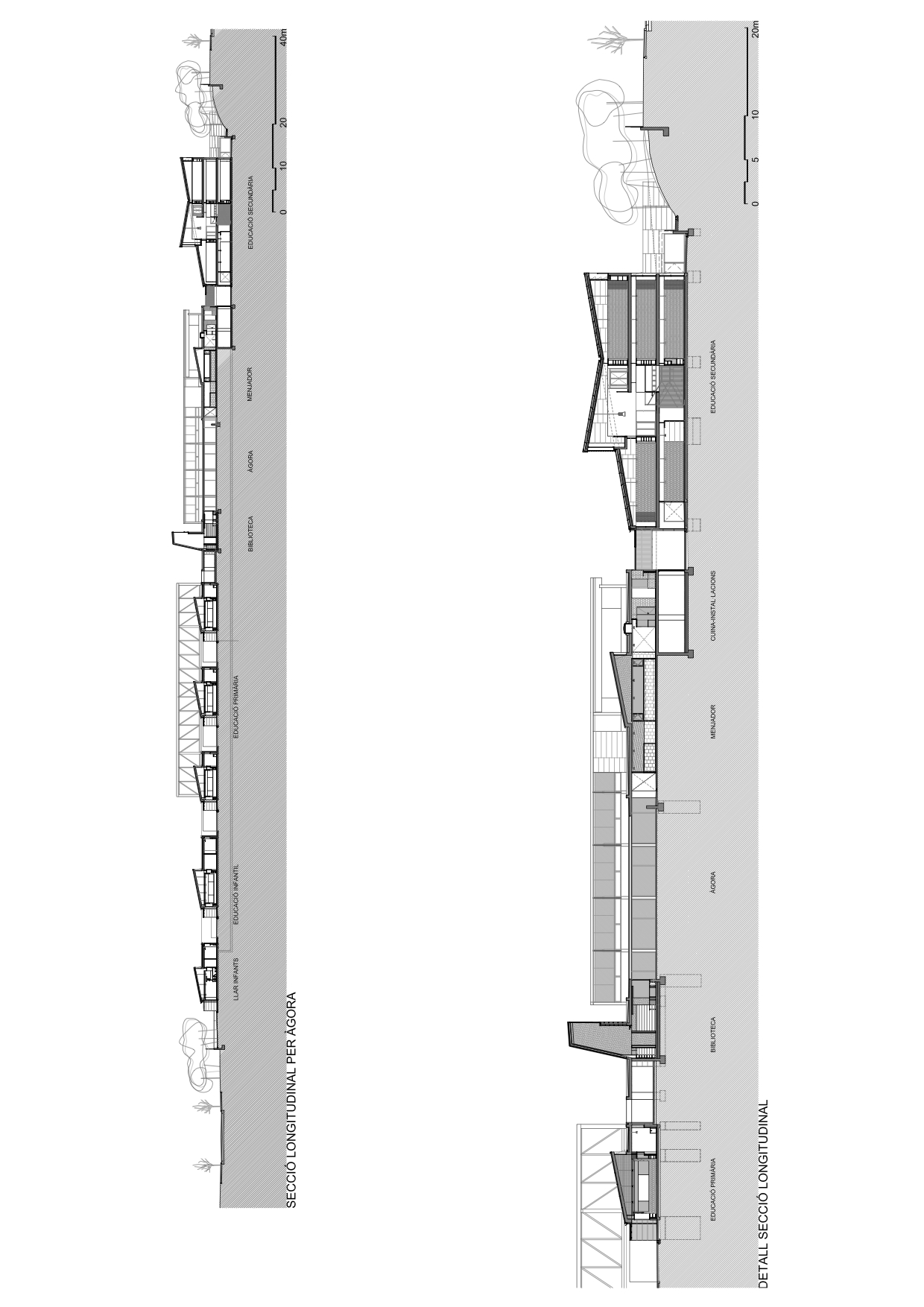 绿色环绕的 Elisabeth 学校，打造自然延伸的教育空间-11