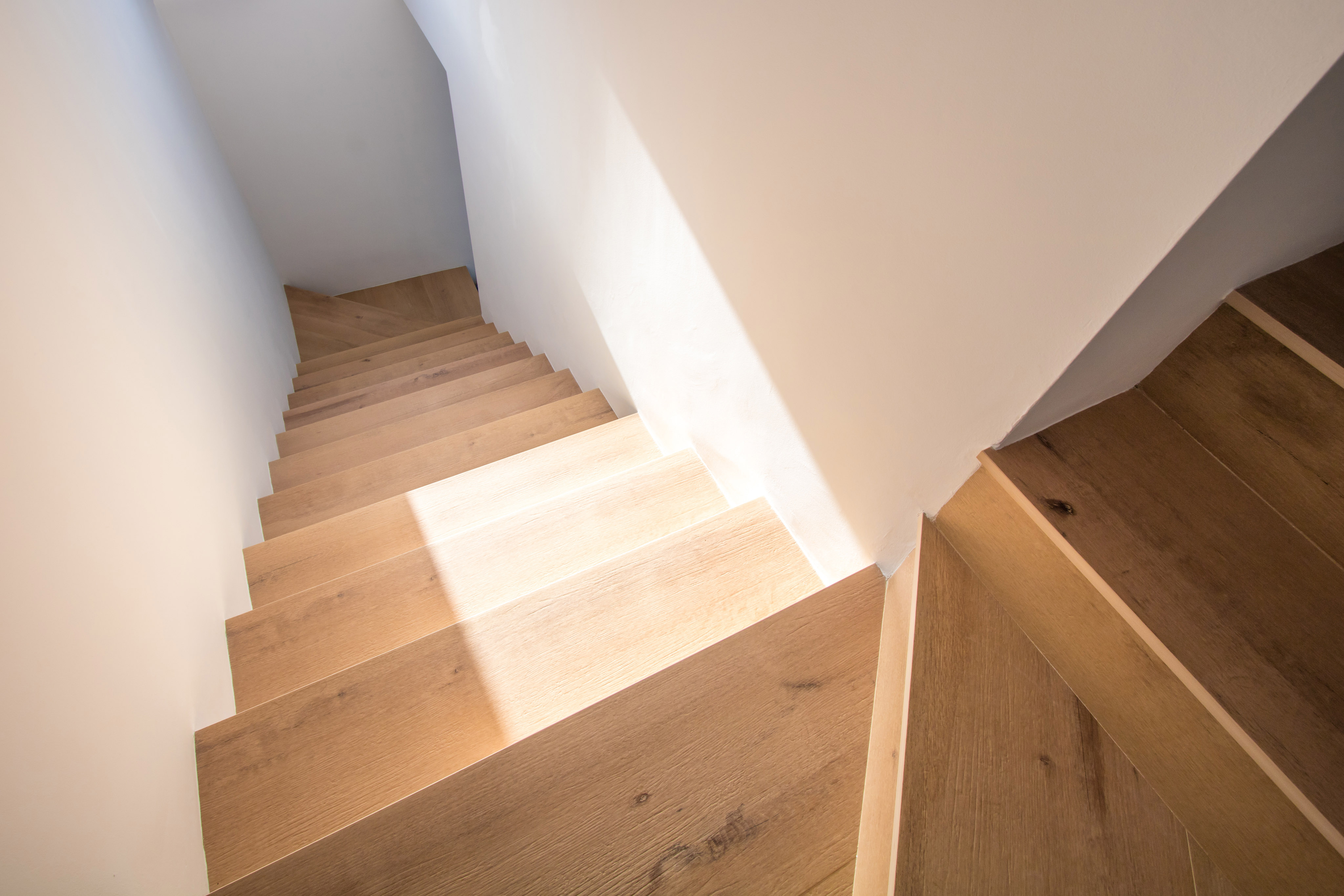 历史果园“El Pilar”的恢复性改造-18