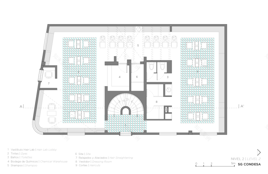 墨西哥城 Silvia Galván 康德萨美容院,历史与现代的完美融合-21
