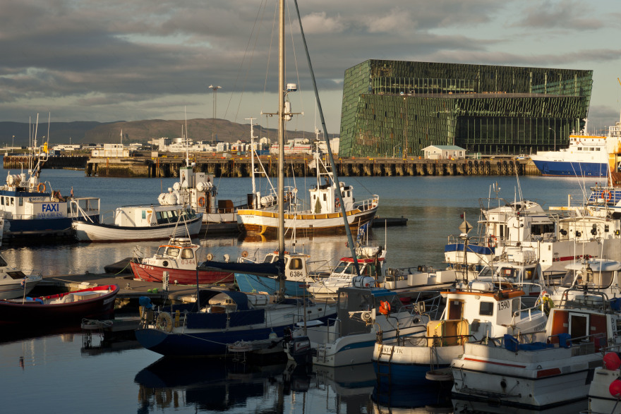 哈帕·雷克雅未克音乐厅和会议中心-10