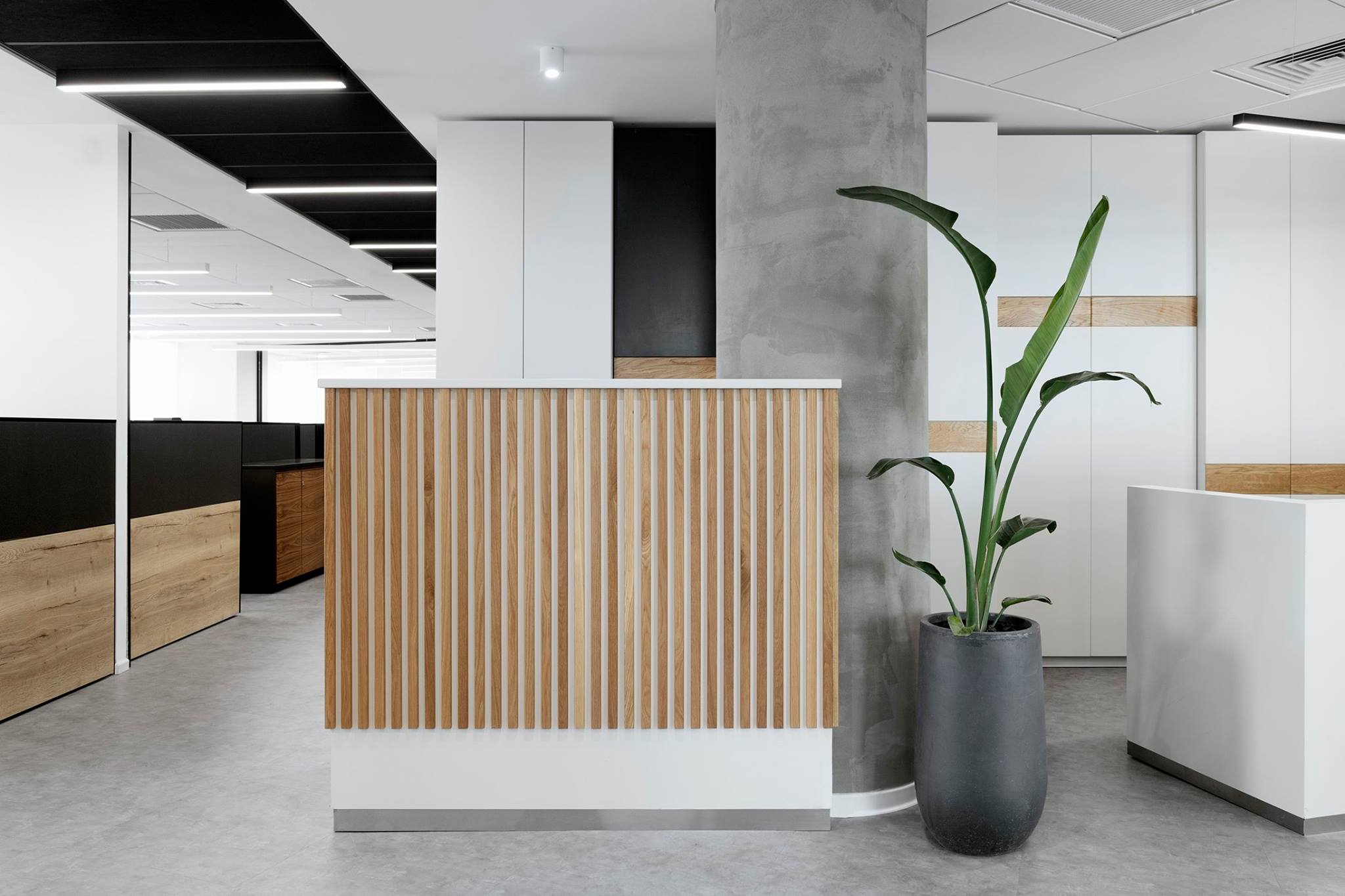 阿尔特建筑师打造的自然温暖 Acord 保险总部办公室设计-11