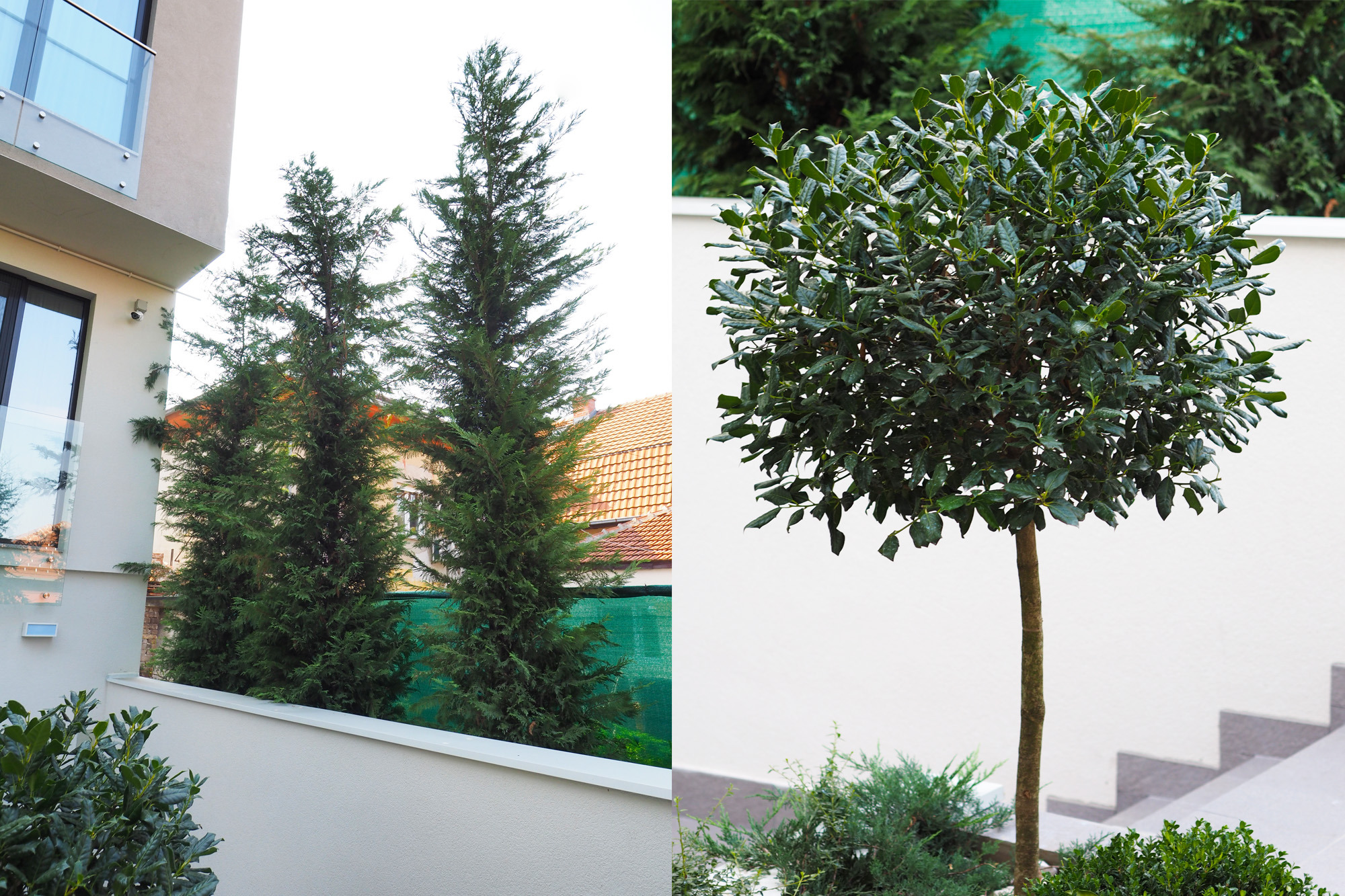 为所有感官而创造，私人住宅花园和屋顶露台-27