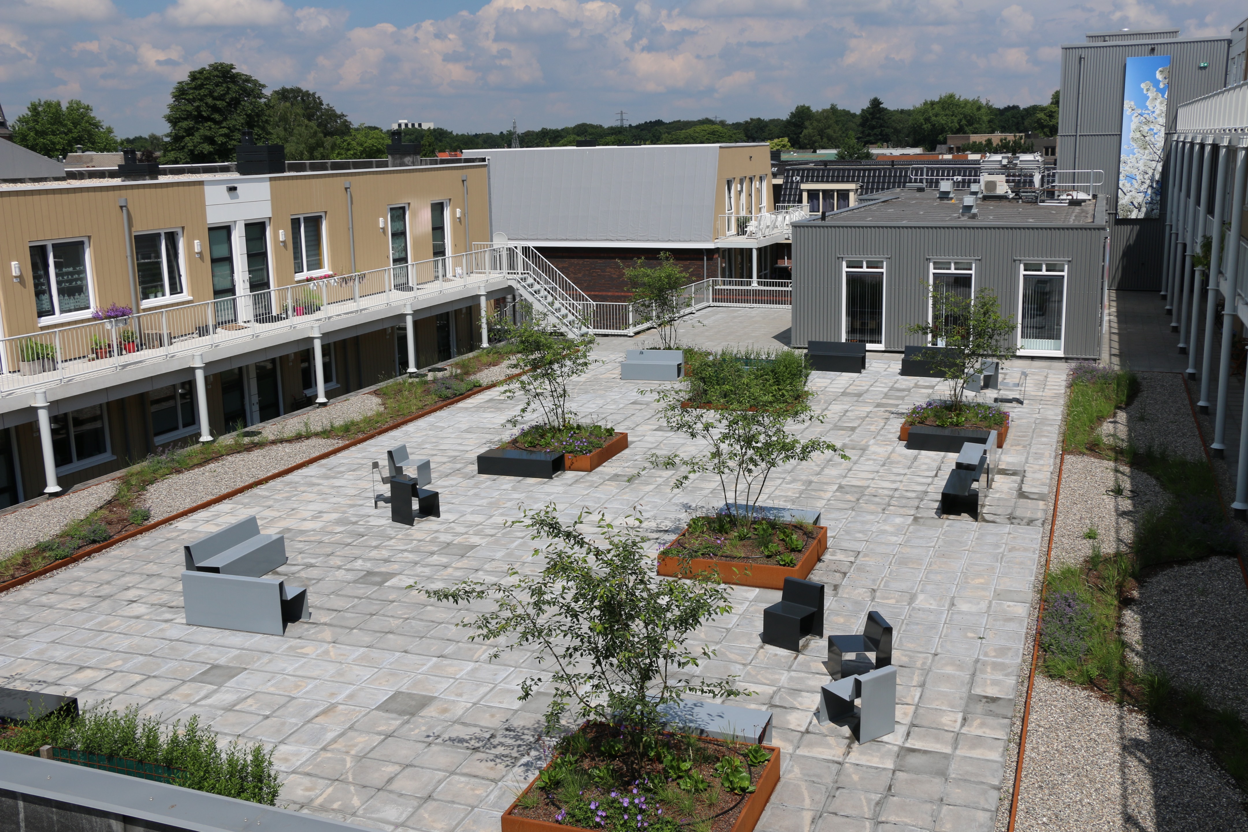 荷兰艾德市 Bunschoterplein 公园设计-0