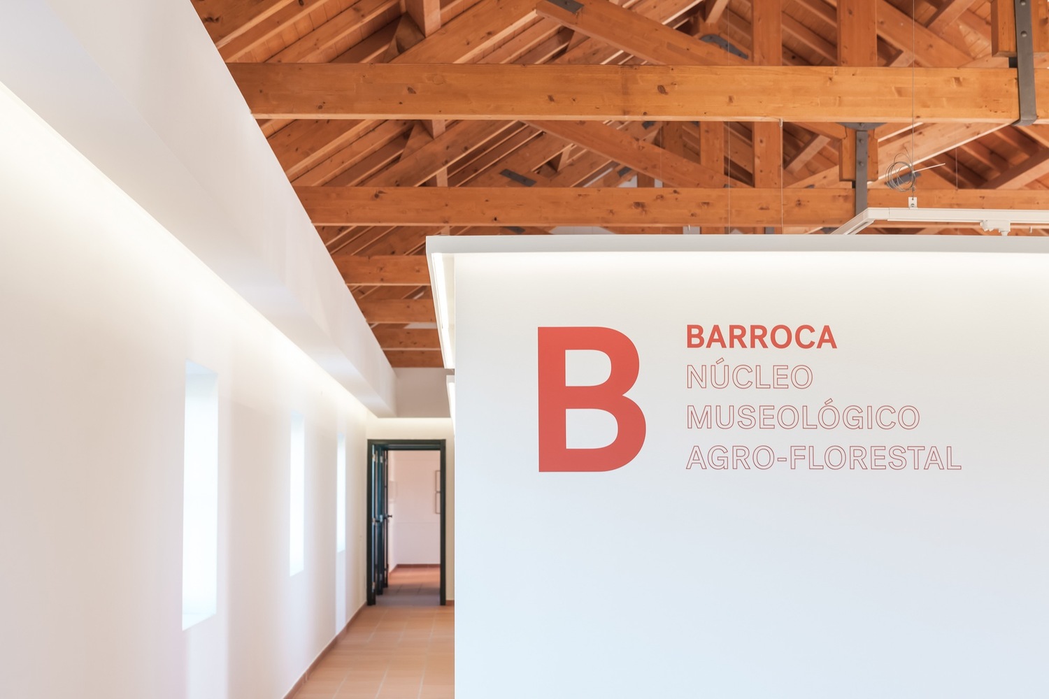 巴罗卡博物馆 (Barroca Museum)-59