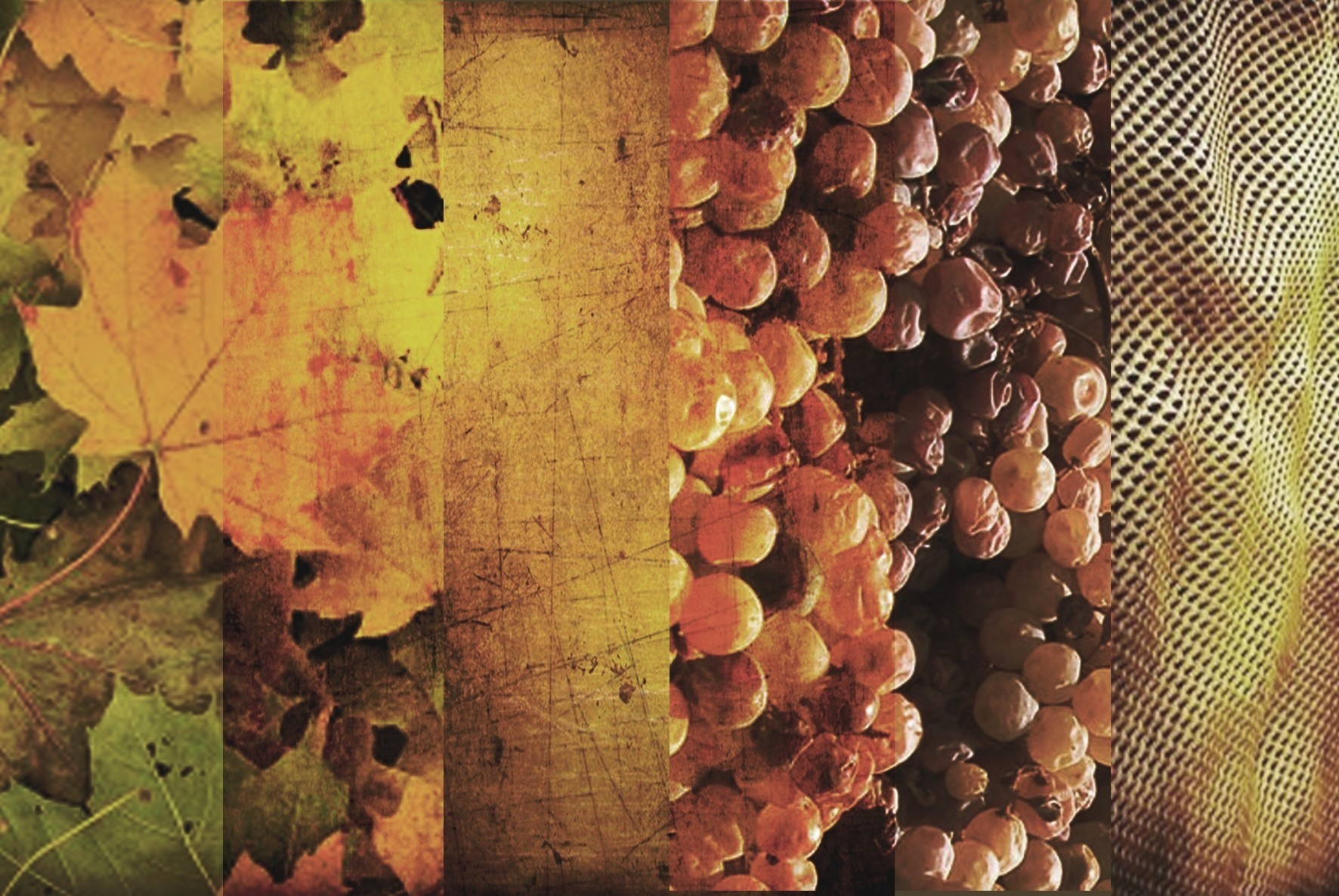 2014 年酒文化中心 | 工业建筑的复兴-2