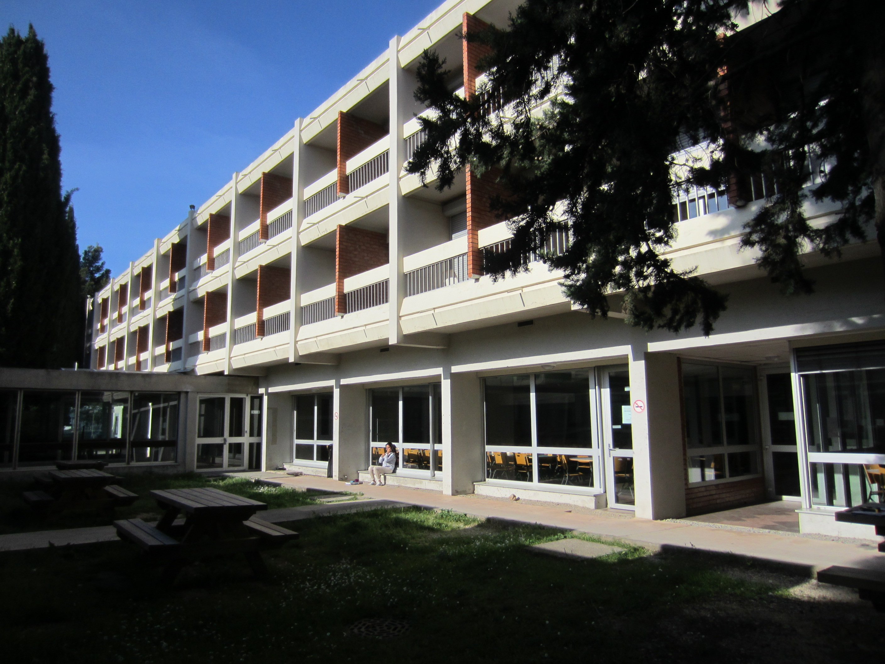 重建校园餐厅,学校食堂-19