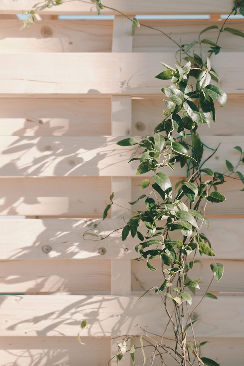 Acropoli 协会 Chiasma#812926 工作坊 · 都市绿洲的再生-6