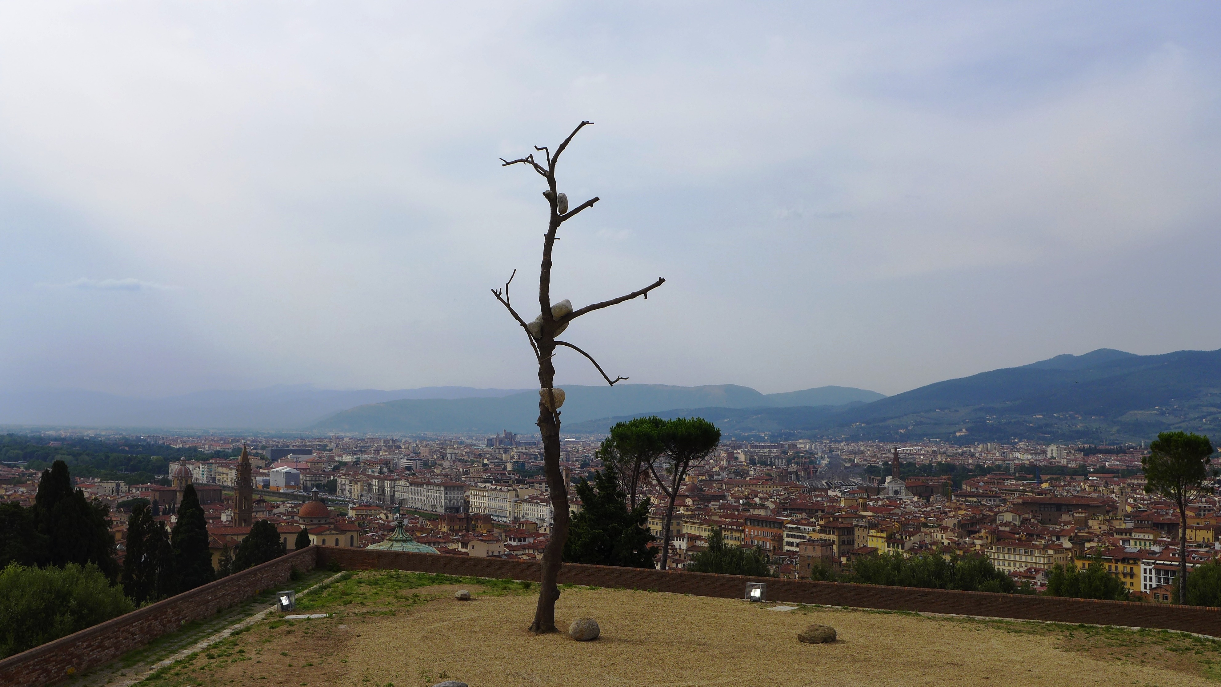 "植"入历史的艺术对话——Giuseppe Penone 个展“Prospettiva Vegetale”-5