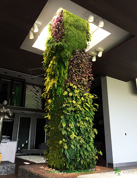 墨西哥绿意盎然的家庭住宅-33