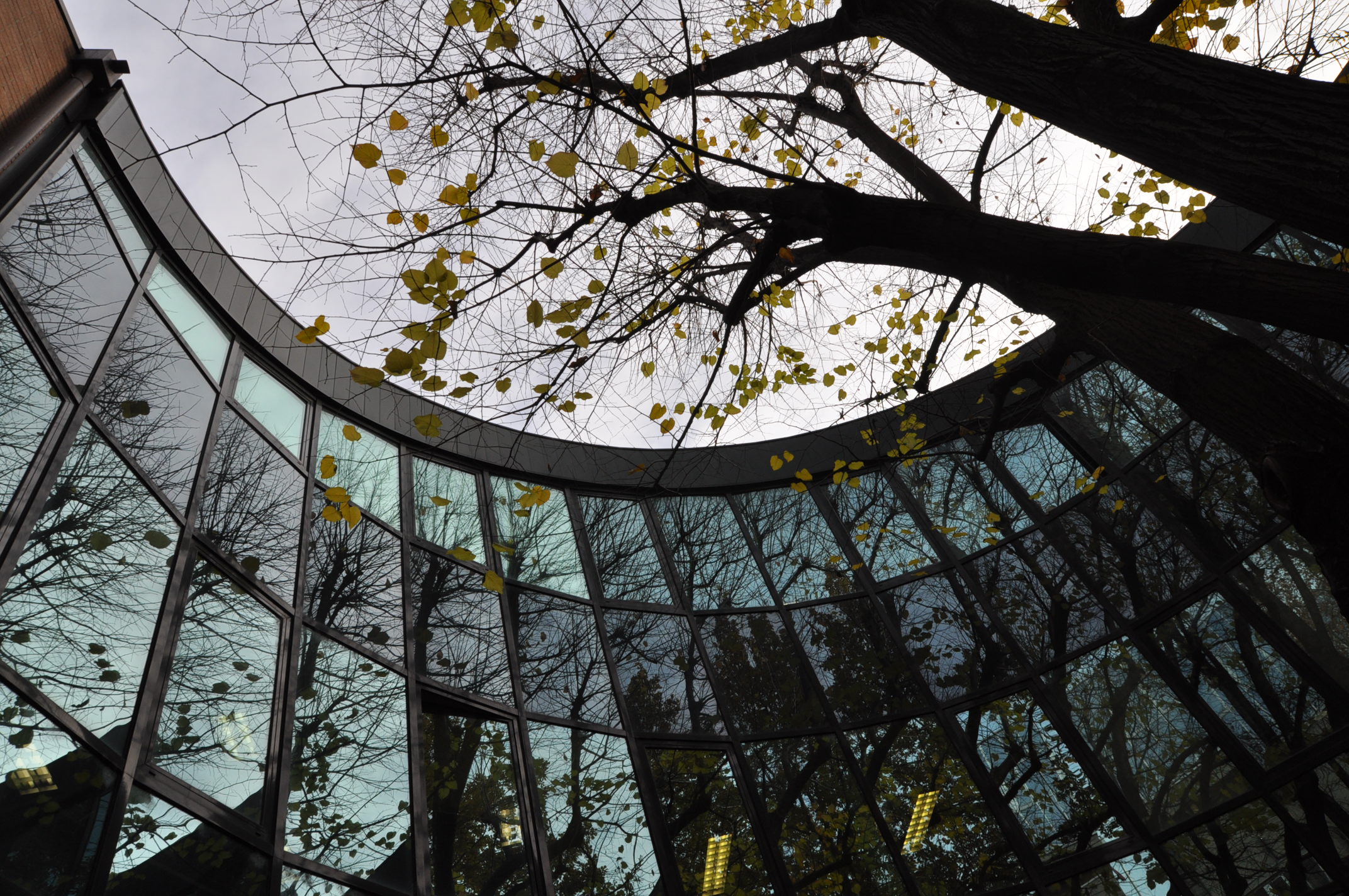 1999 年完成的圣奥尔索拉血液病研究所-15