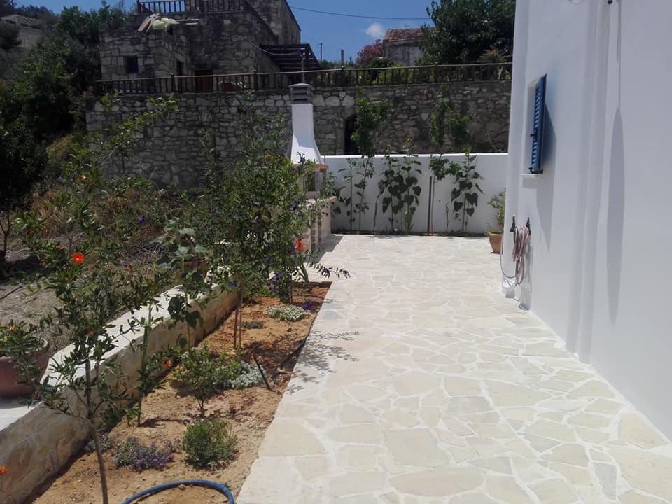 众议院 anthemis-8