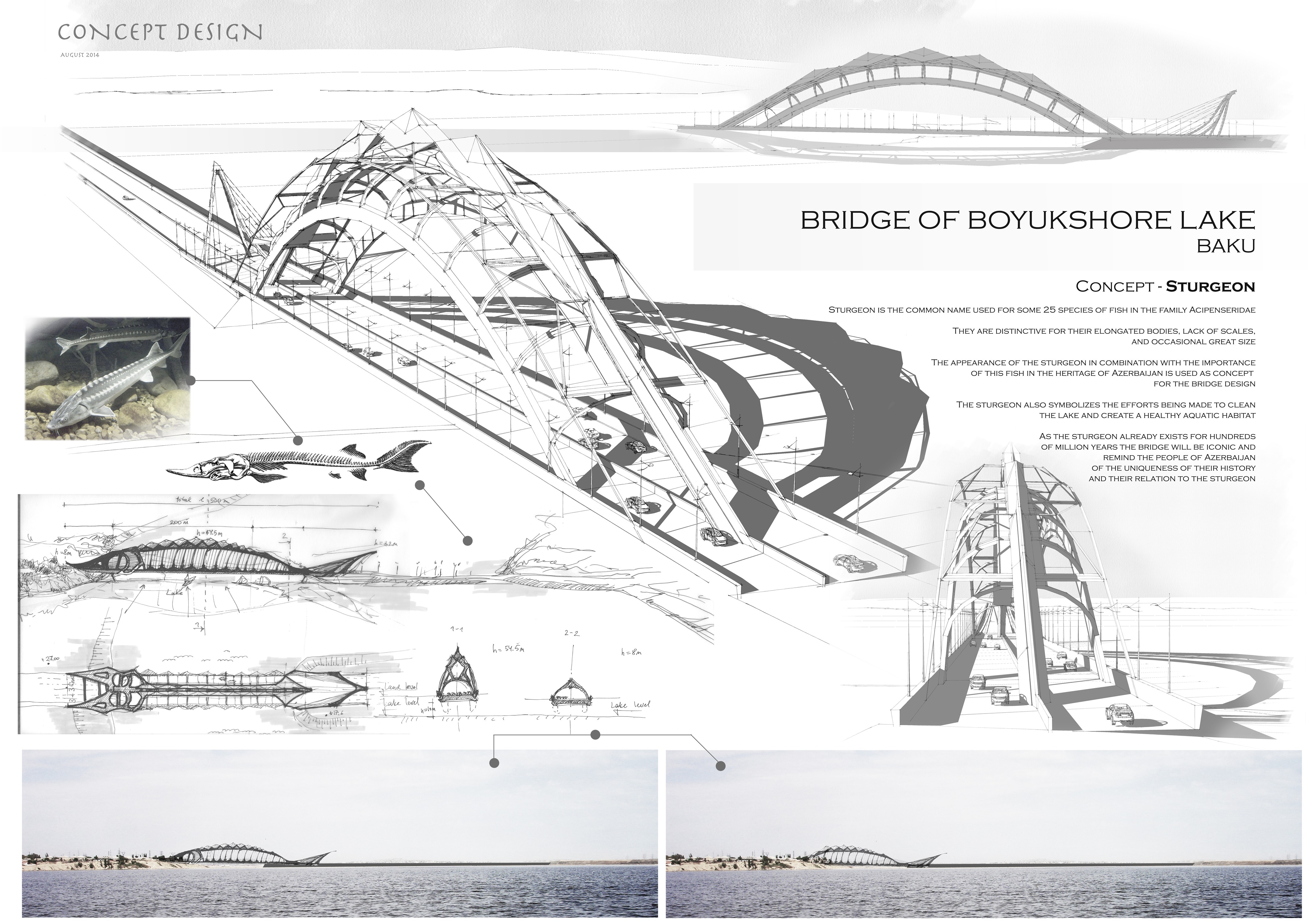 结合鲟鱼元素的 Azerbaijan 地标性桥梁设计-1