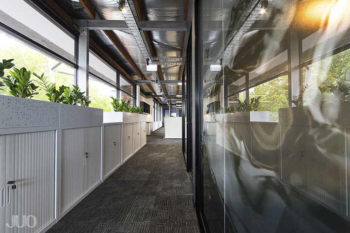 自然光照亮西澳大利亚 RUAH Subiaco 办公空间-7