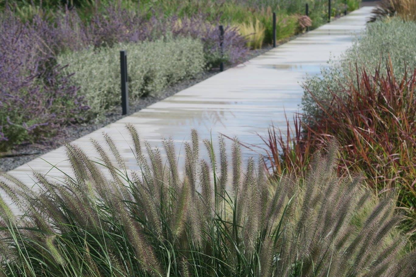 2017 年完成的 Scrigno Lab 项目——室内设计精品之作-25