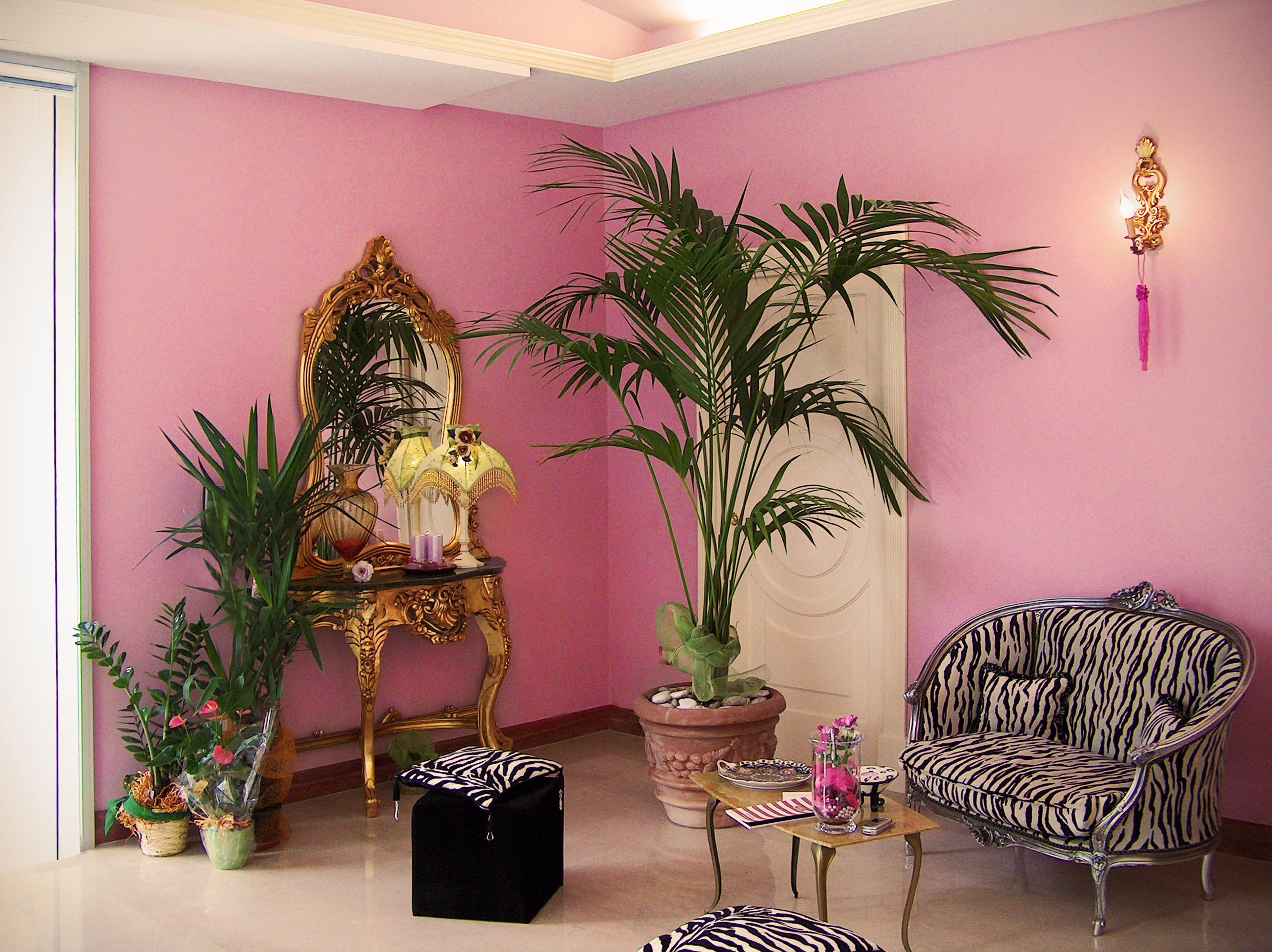 女性专属时尚精品店-4