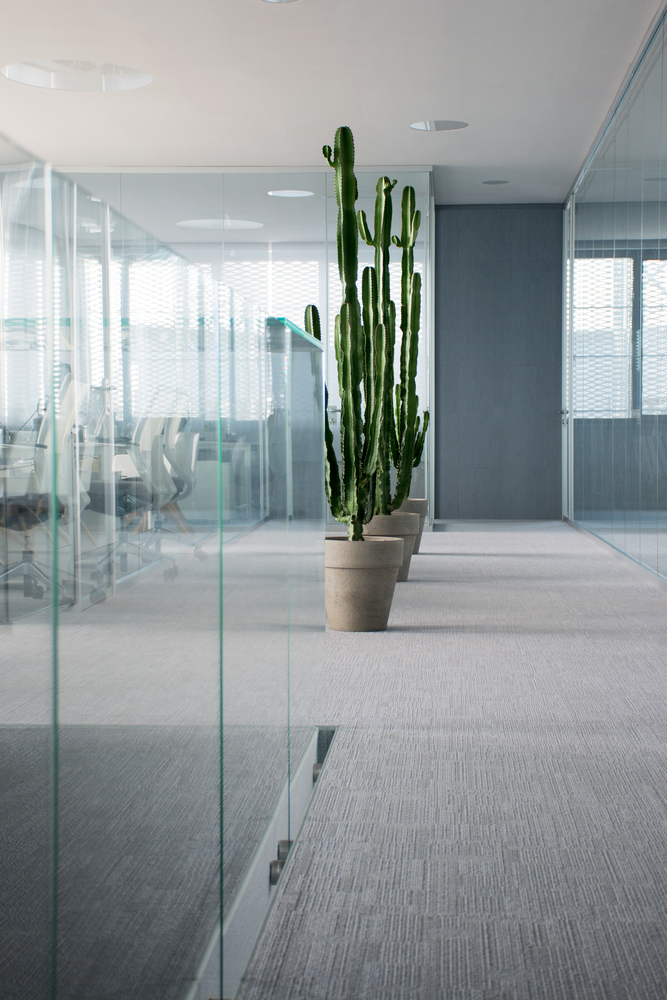 创新数字网络 VoipVoice 总部设计-54