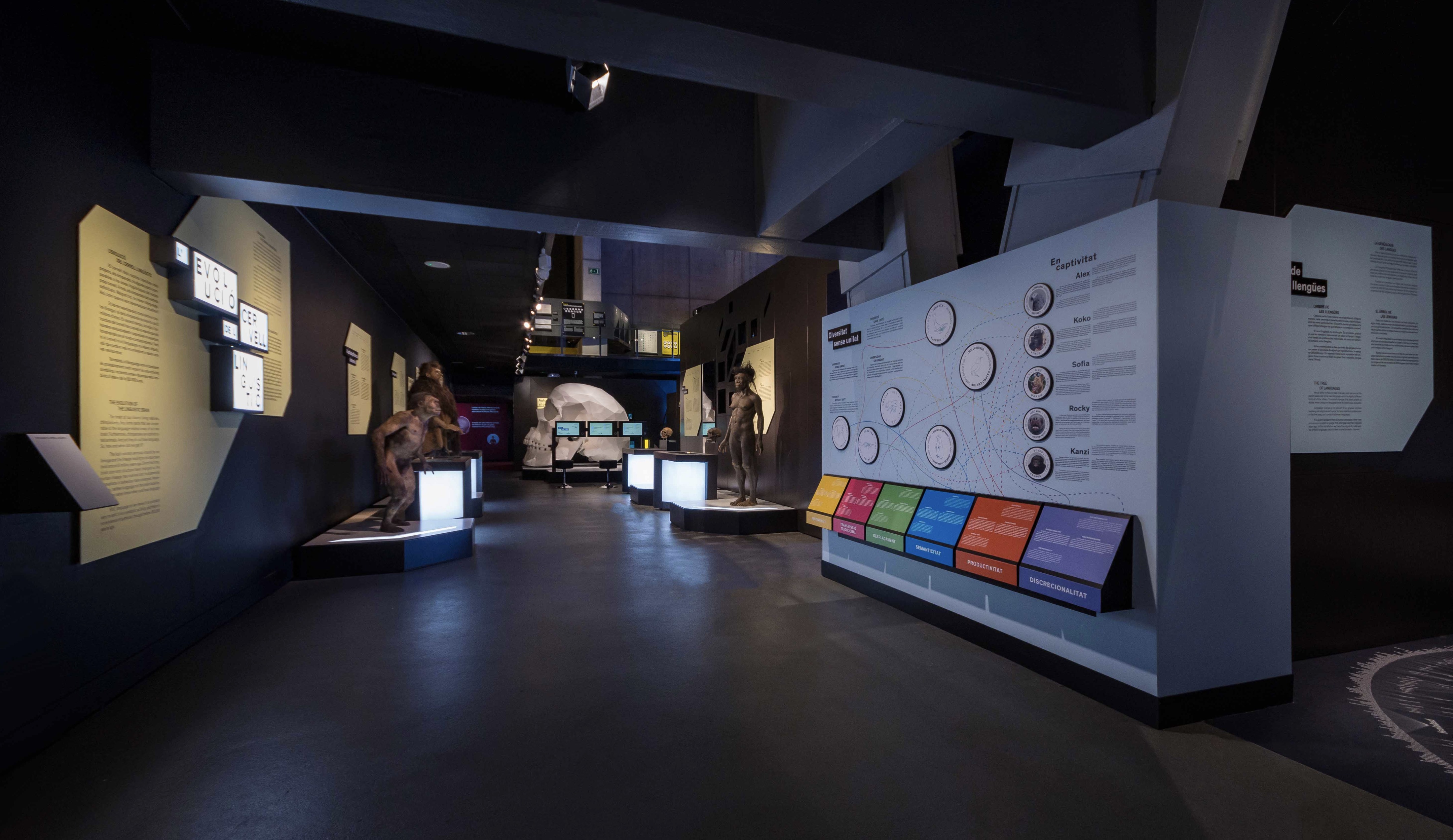 Talking Brains 展览设计-19