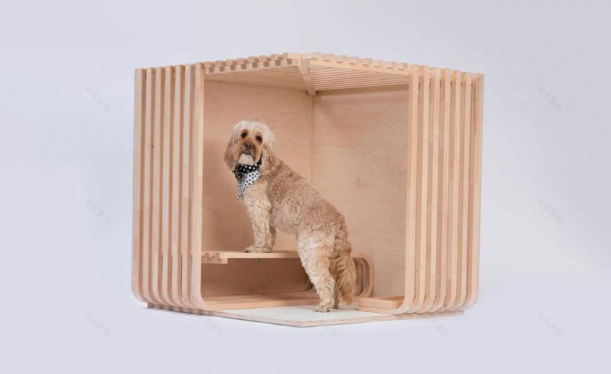 扎哈·哈迪德等大师设计慈善宠物狗舍,伦敦拍卖展呈现-14