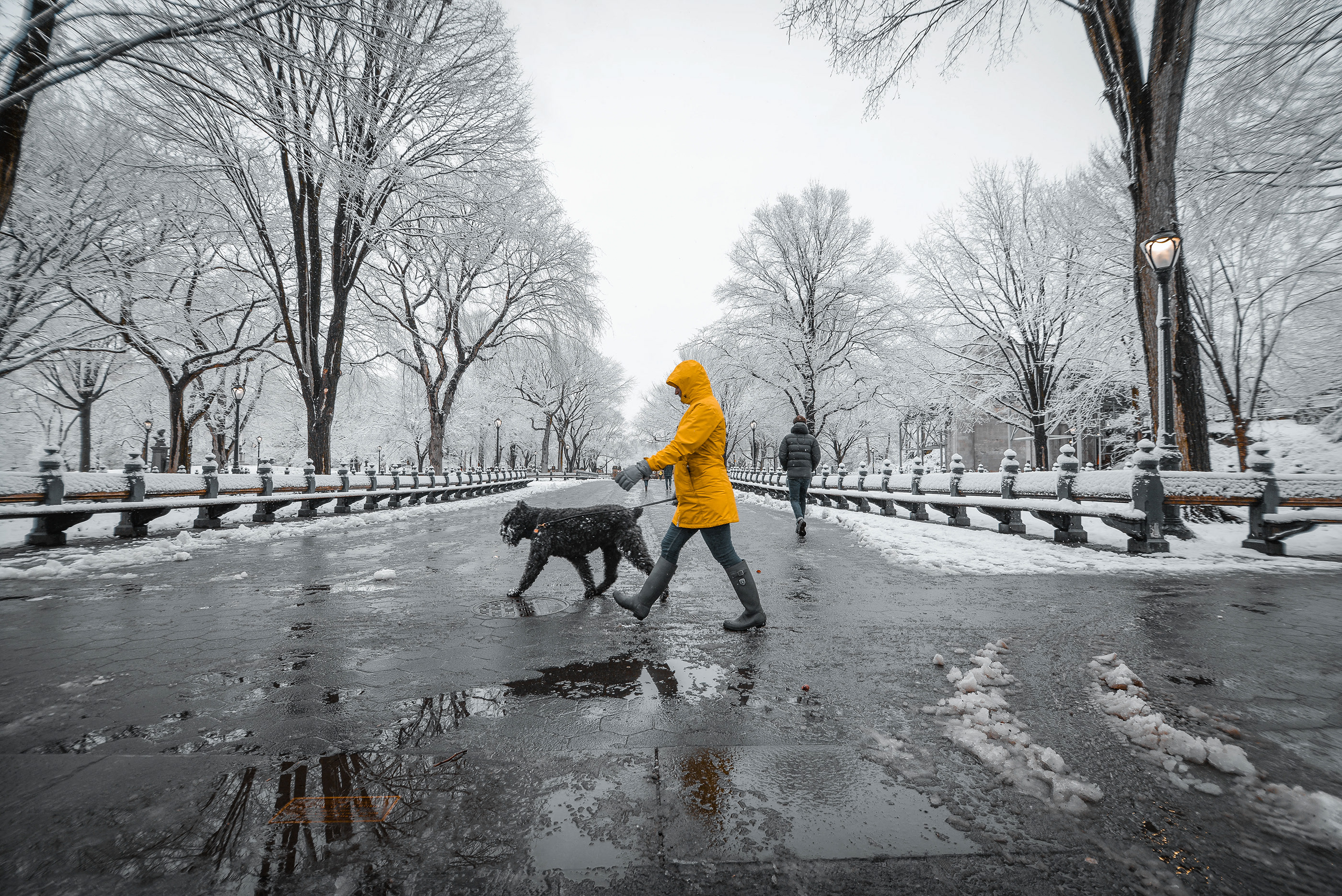 纽约 24 小时 | 中央公园、布鲁克林、中国城、中城、炮台公园-5