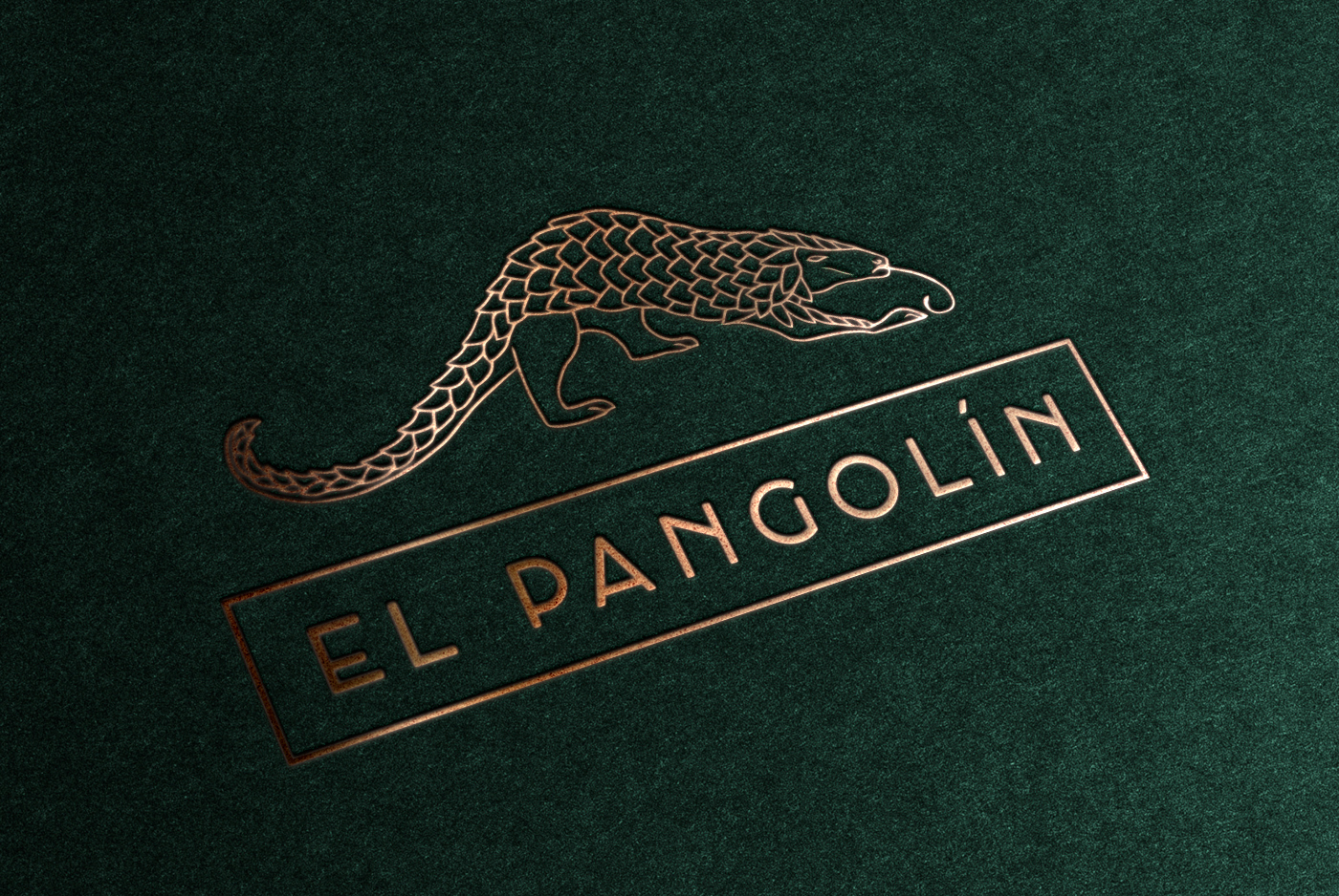 未来热带美食餐厅 · El Pangolin-2