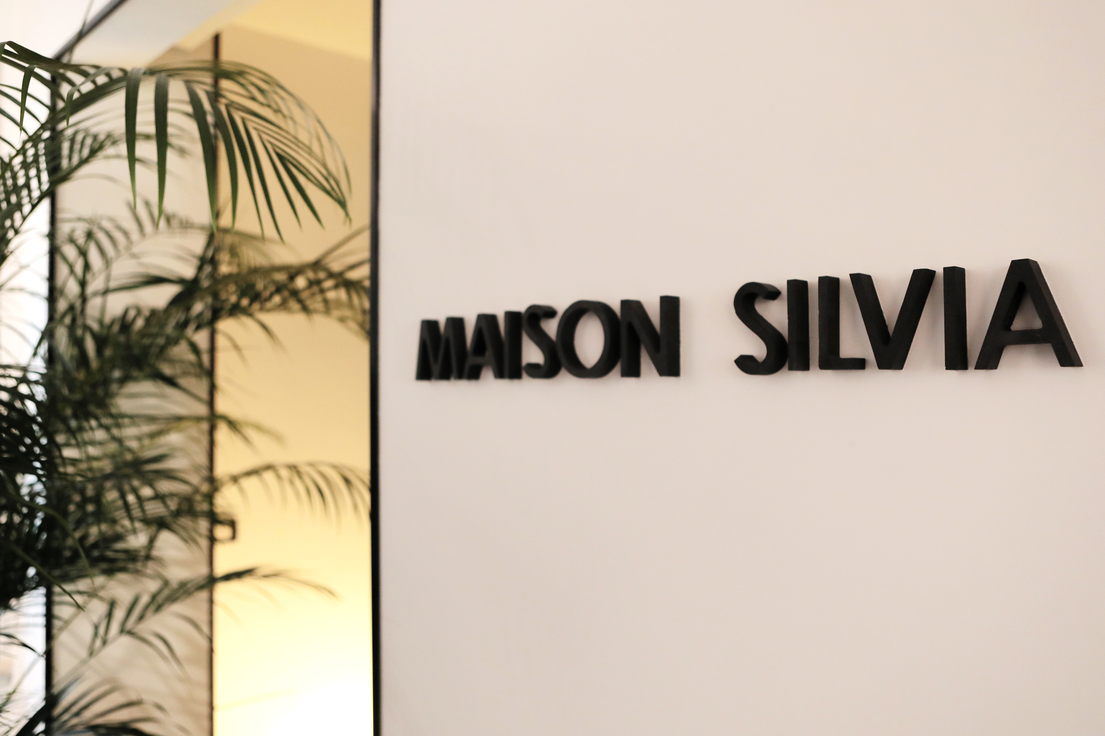 2019 年完成的 Maison Silvia 室内设计案例-1