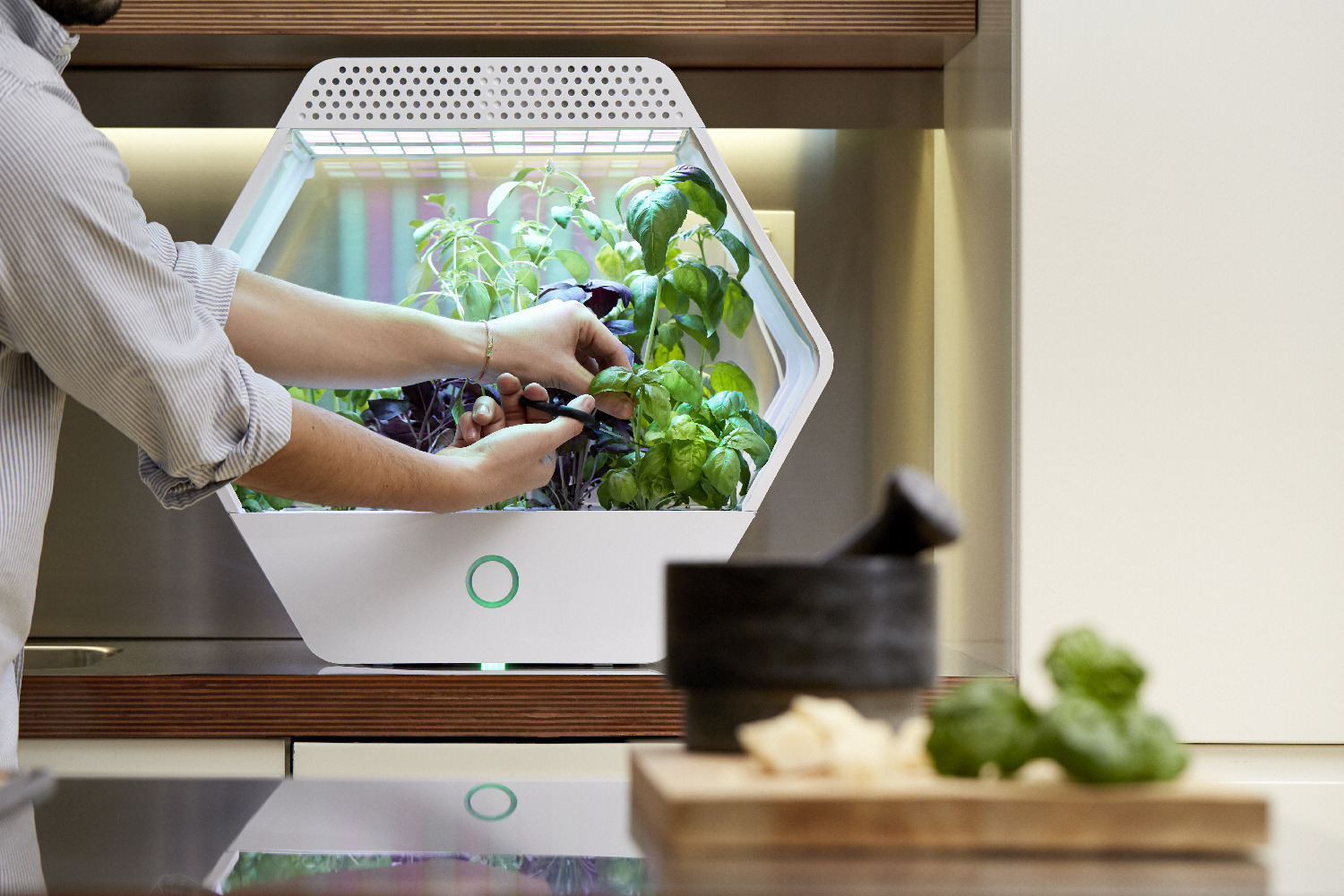 智能家居水培温室 LINFA · 绿色生活新体验-9