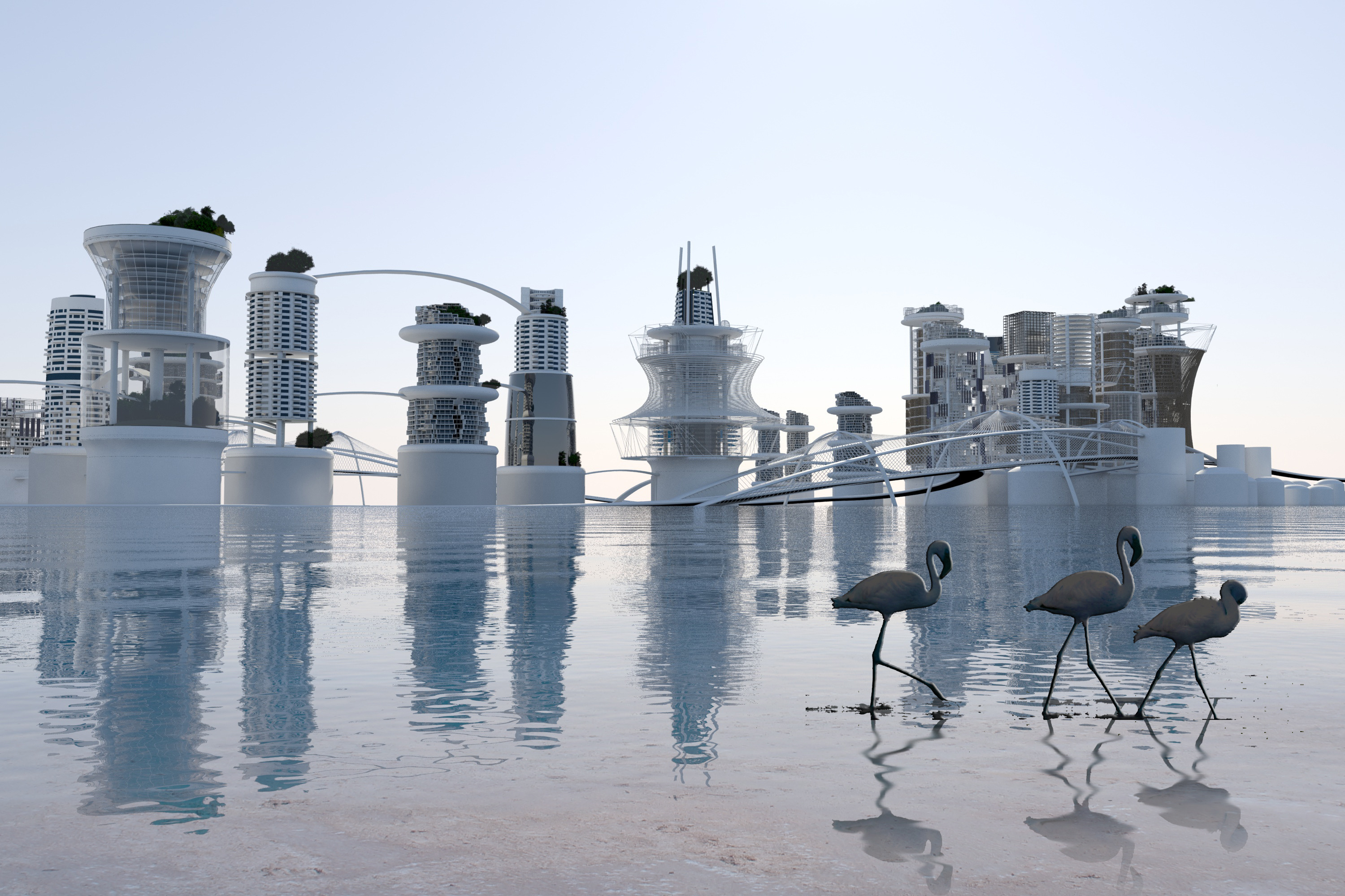 弗拉明戈波利斯·FOS 2100-12