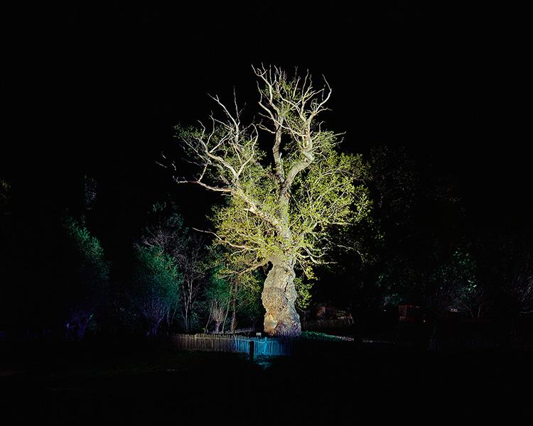 2016 年罗马尼亚设计周 | 多元创意交汇-38