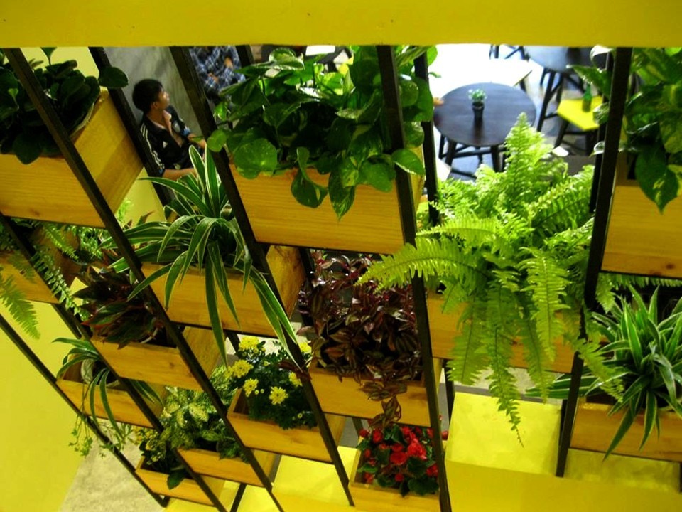 2014 年越南胡志明市“冰淇淋极地商店”室内设计案例-4