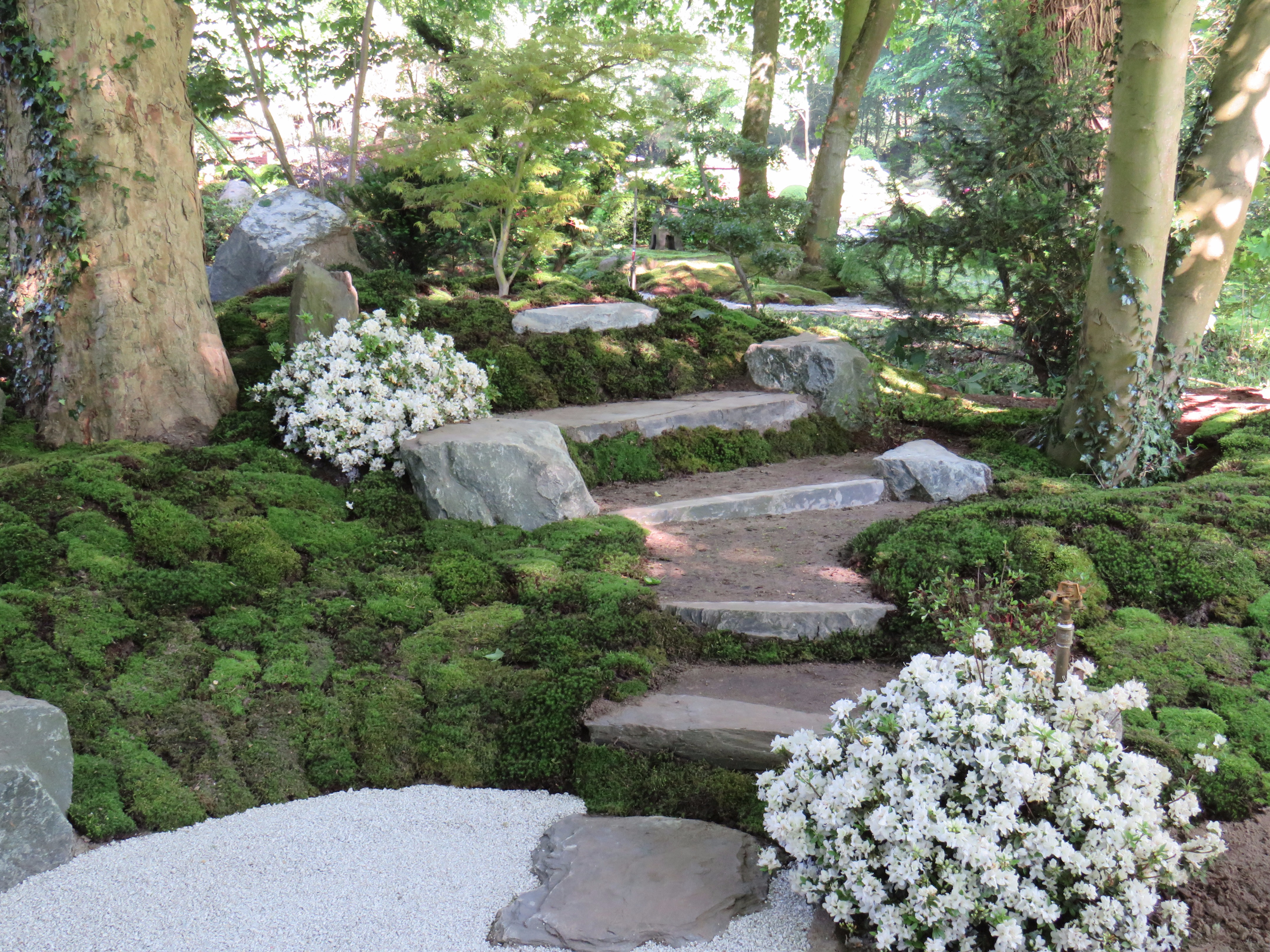 2017 日本花园研讨会 | 自然石座椅赏茶屋美景-7