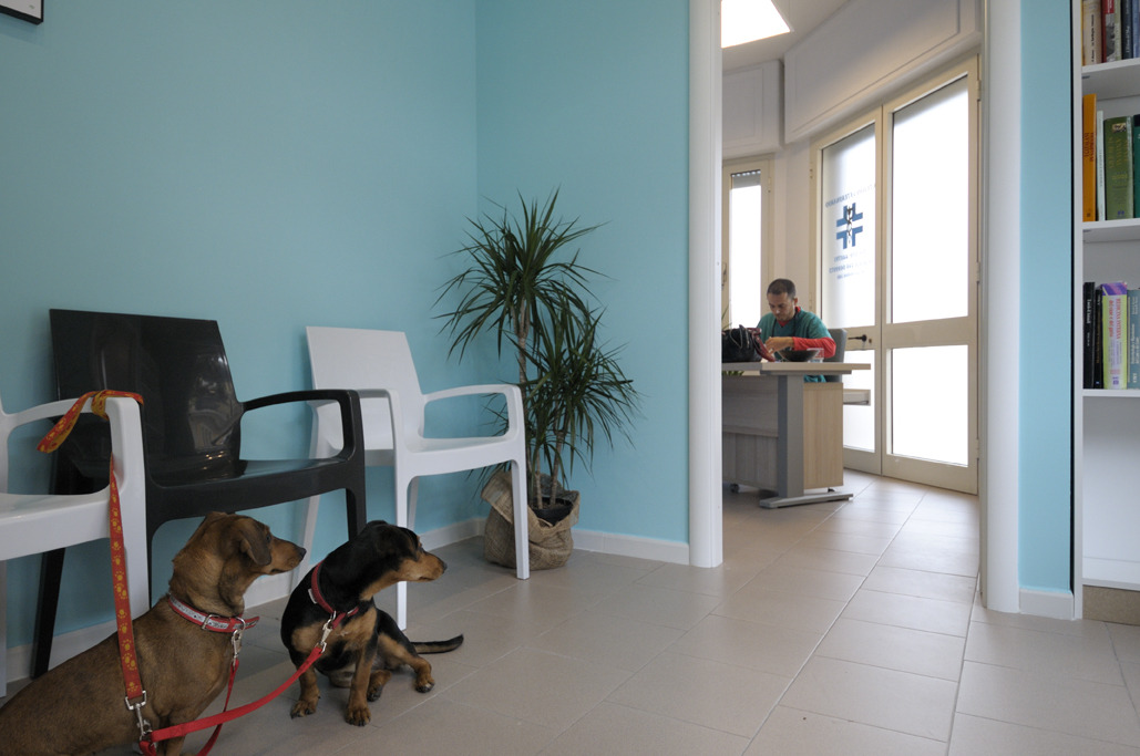 90 平米兽医诊所的舒适空间设计-24