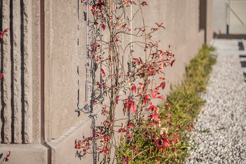 超市场建筑 | 功能与美学的完美融合-4