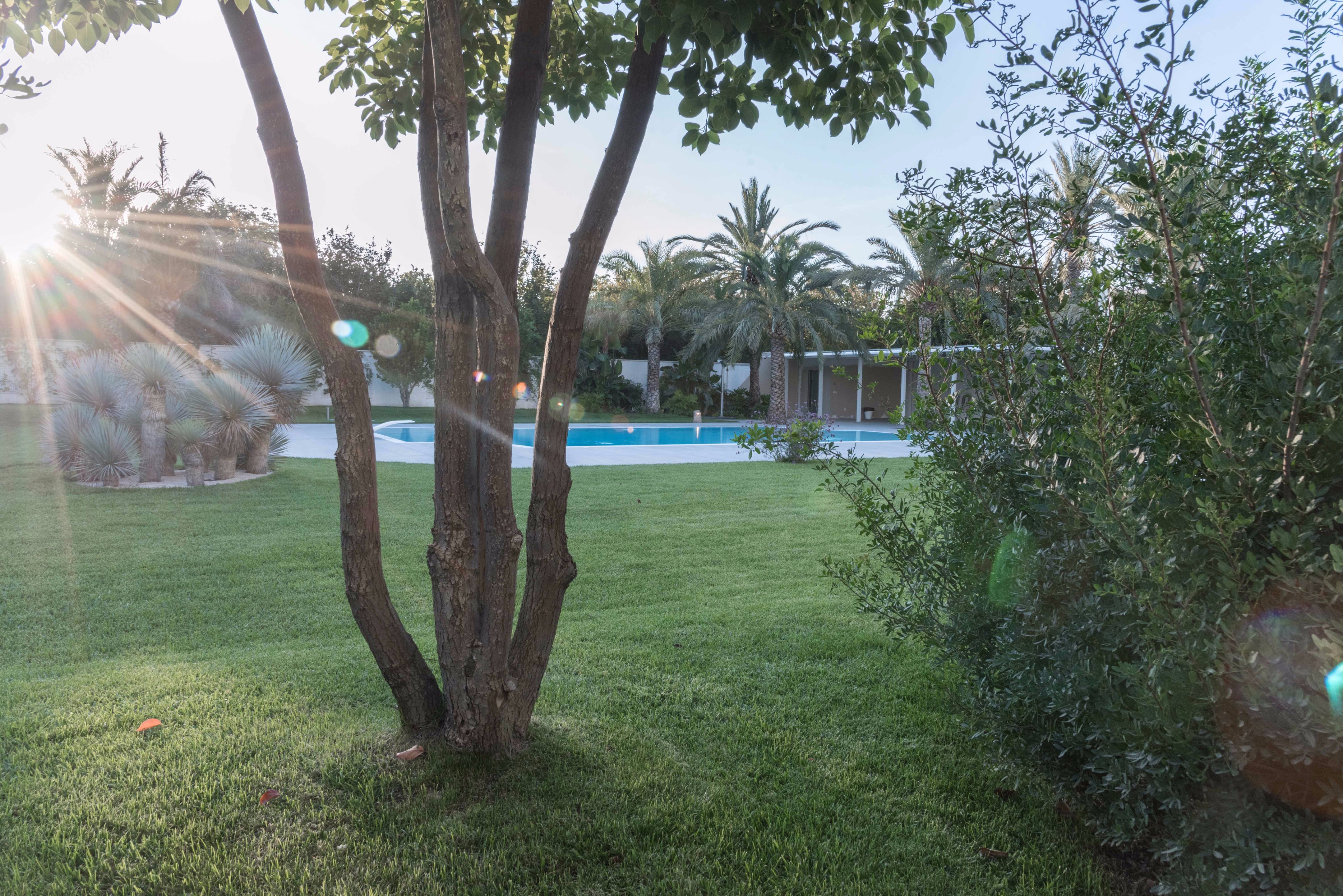 私人住宅花园设计，光影交错打造独特空间-5