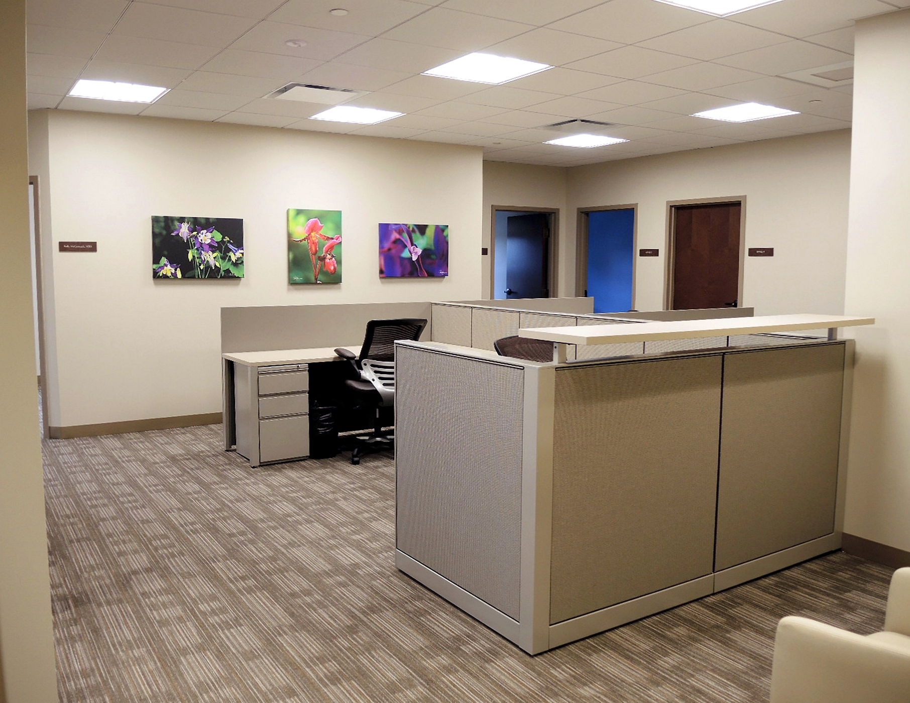 Tektoniks 建筑师打造绿色医疗办公空间-16