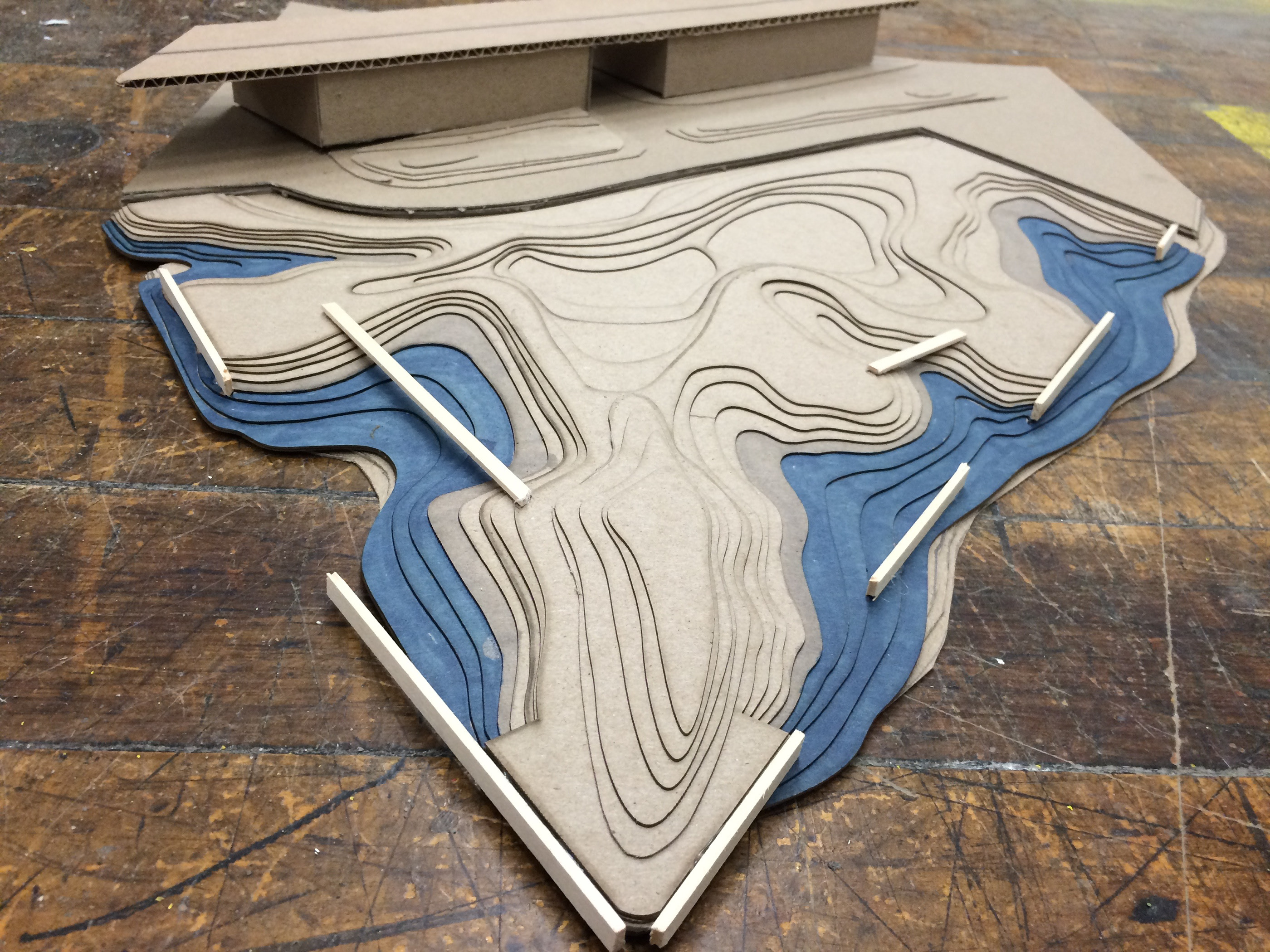 Site Ecology Studio Spring 2015-26