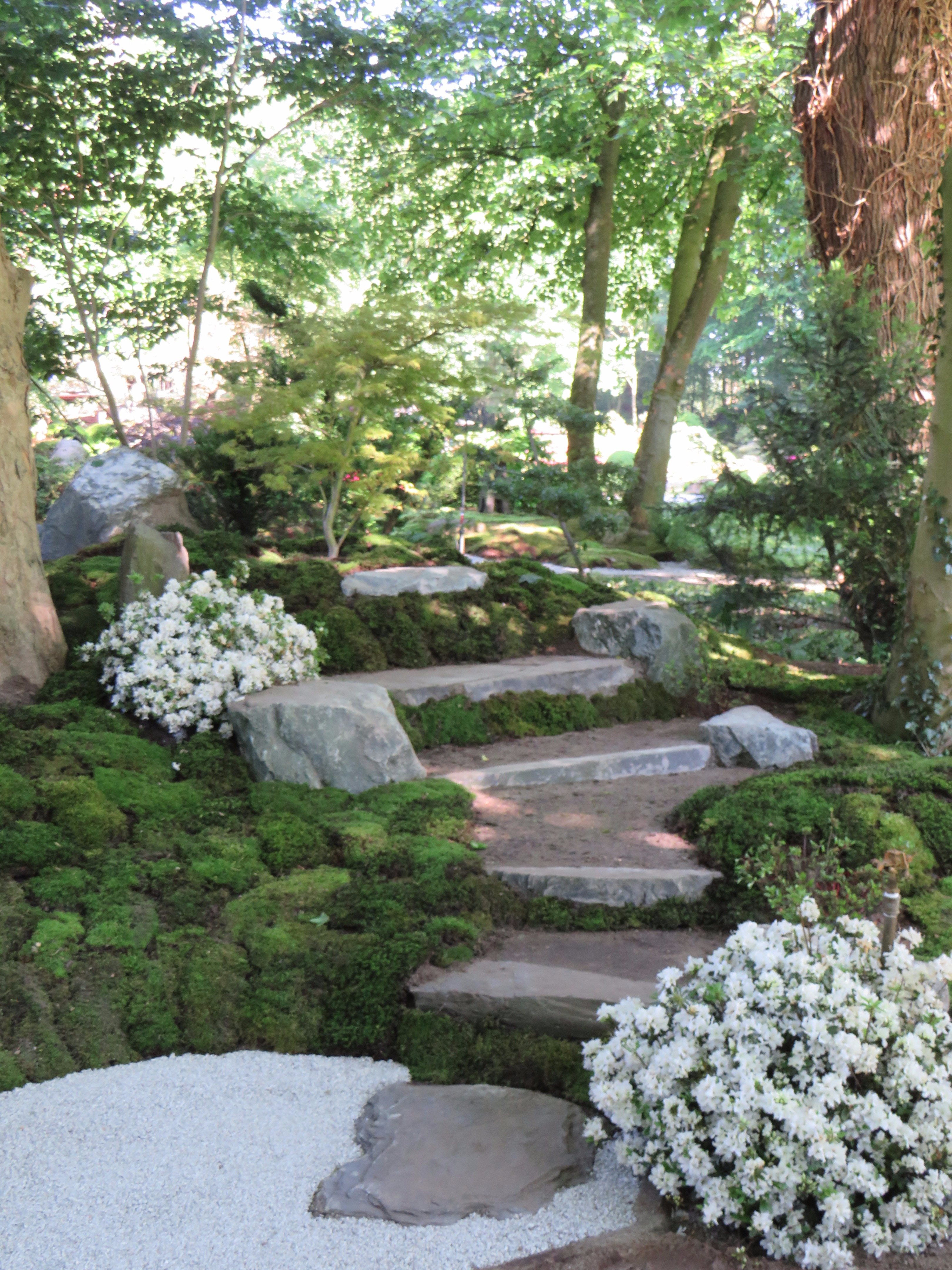 2017 日本花园研讨会 | 自然石座椅赏茶屋美景-8