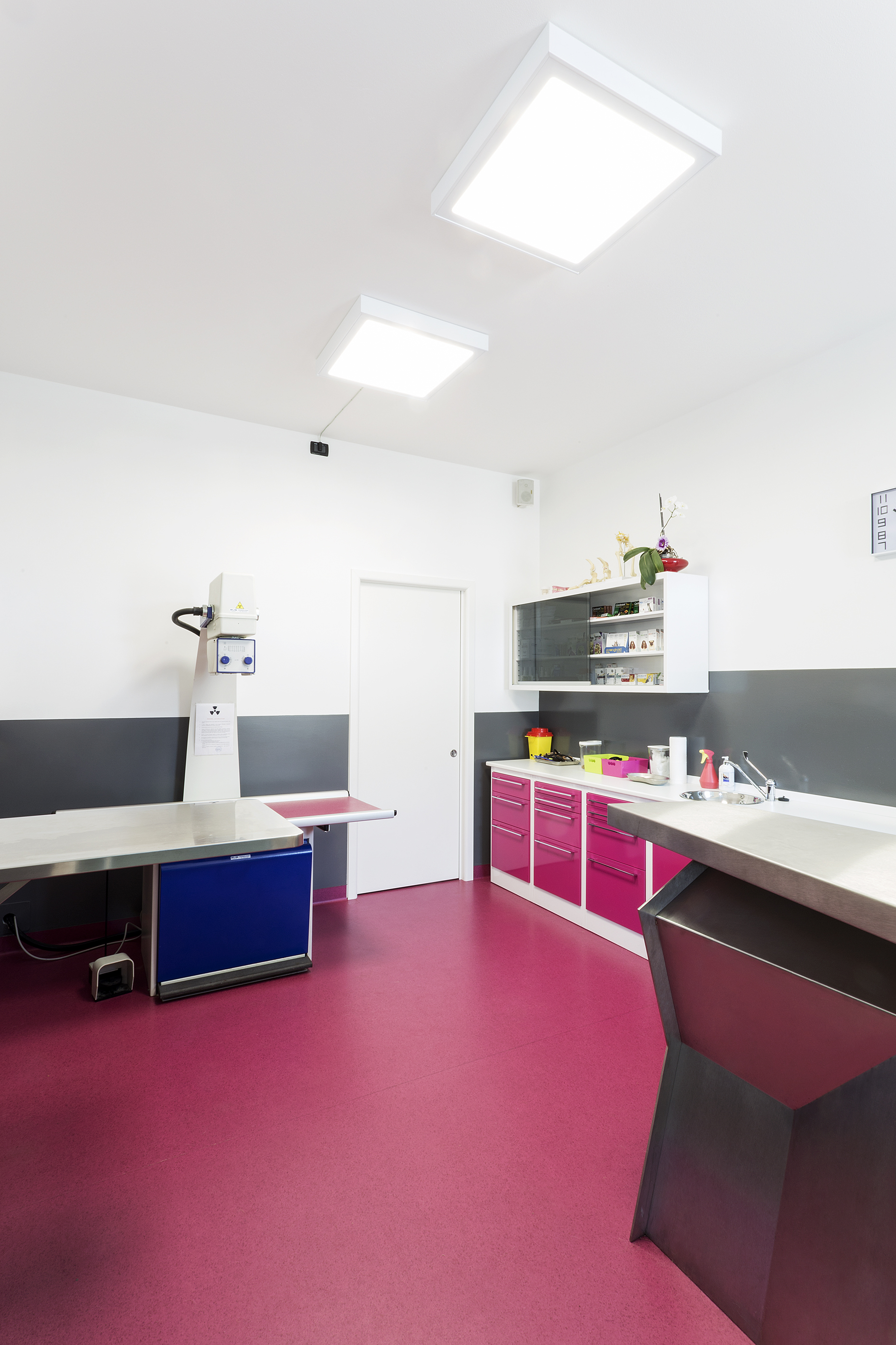 意大利兽医诊所翻新诠释简约美学-7